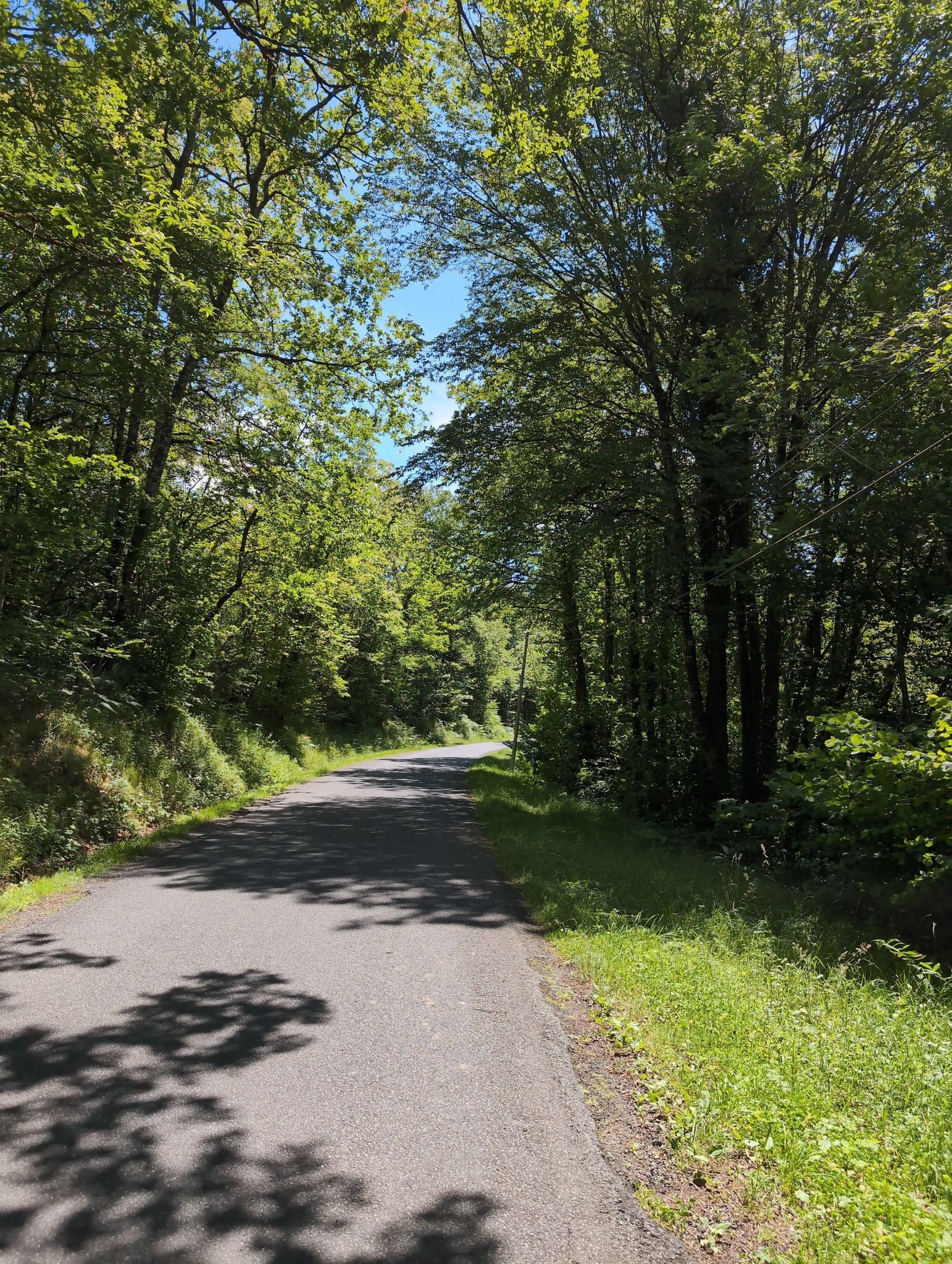 200km bis Bordeaux wohoo darauf erstmal 6% Steigung whe