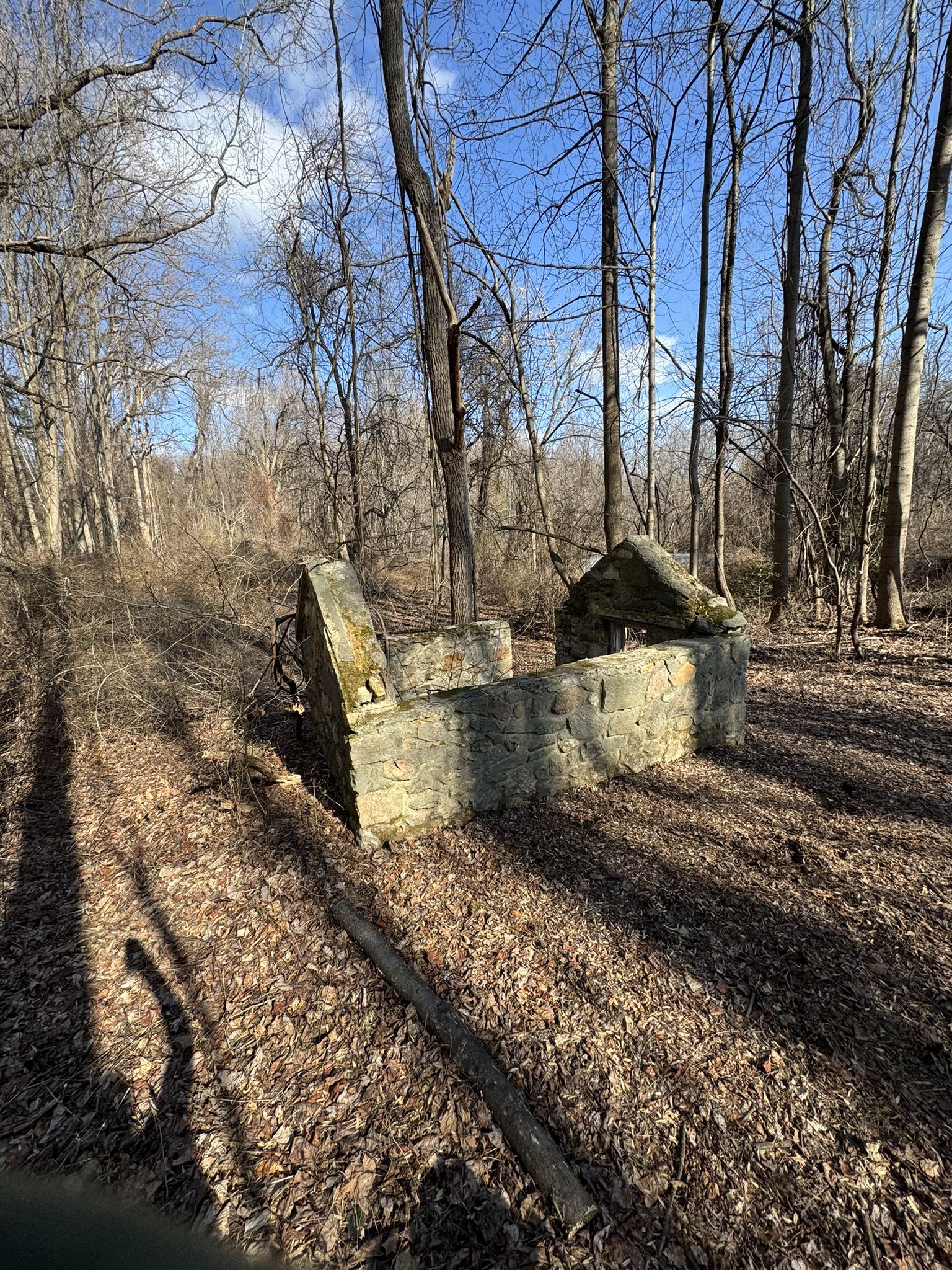 Stone ruins in a sunny, leafless forest with long shadows on the ground. - Benches – Middle Run Natural Area loop from Milford Crossroads