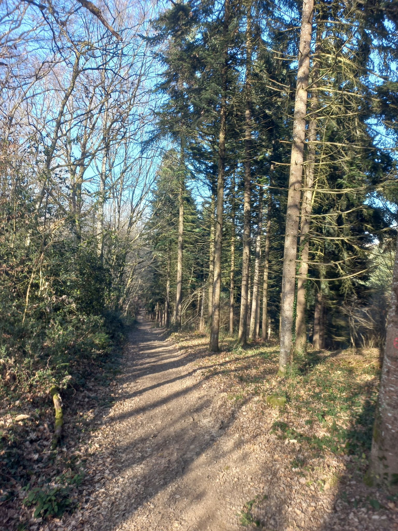montée du castera