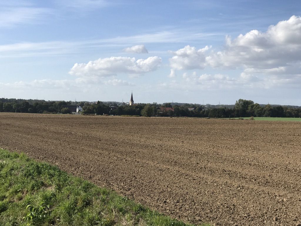 Scheidingen