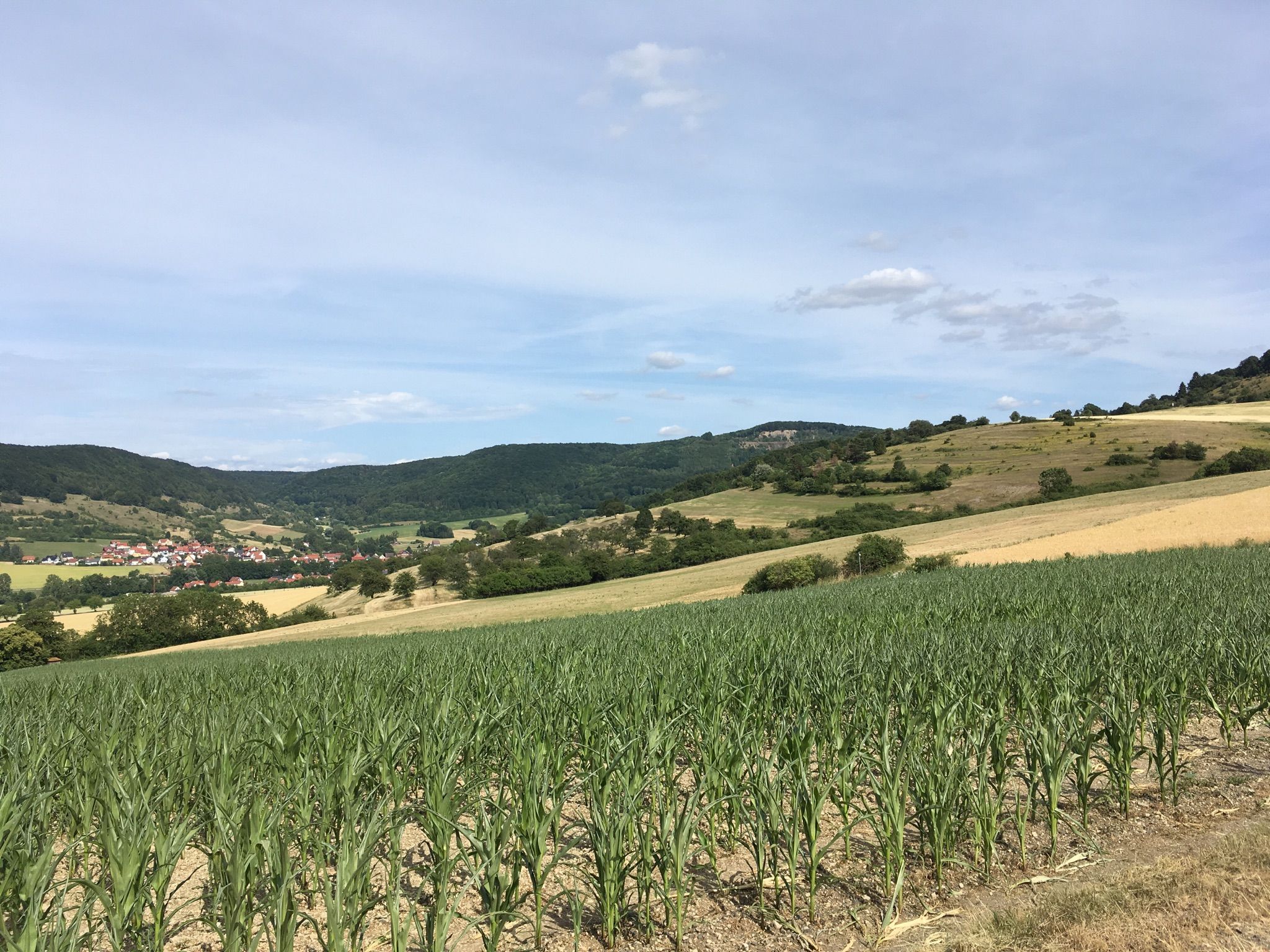 Blick Richtung Umpfen  im Tal Fischbach