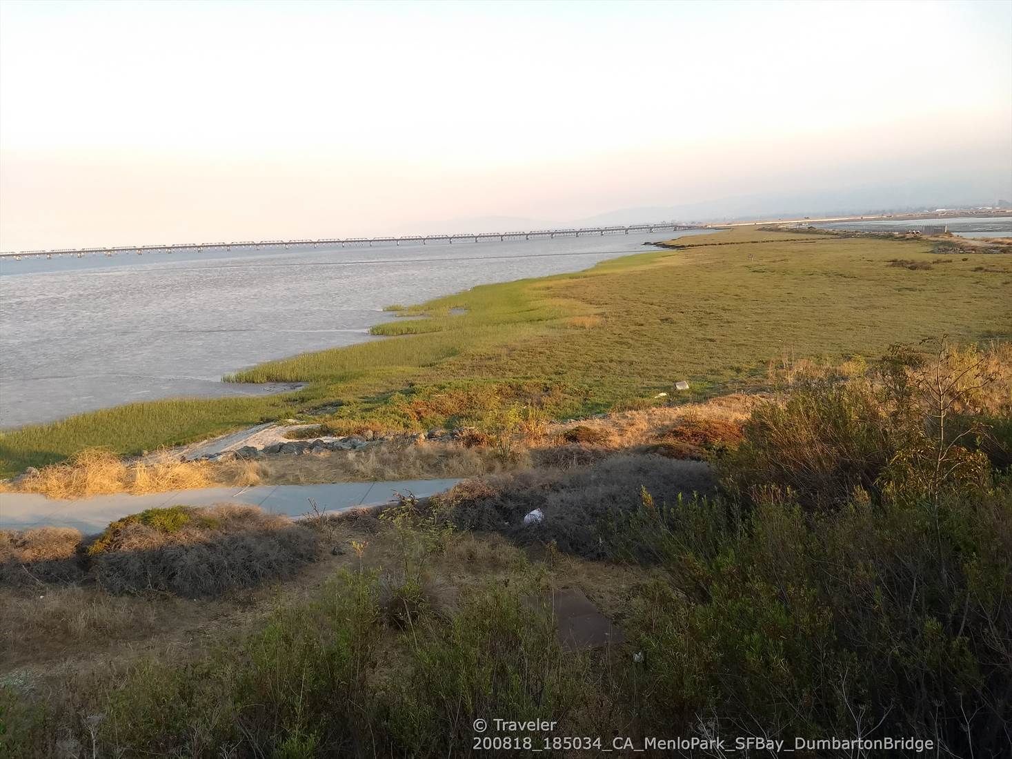Golden light illuminates marshland and calm water with a distant bridge. - San Francisco Bay Trail: Dumbarton Bridge