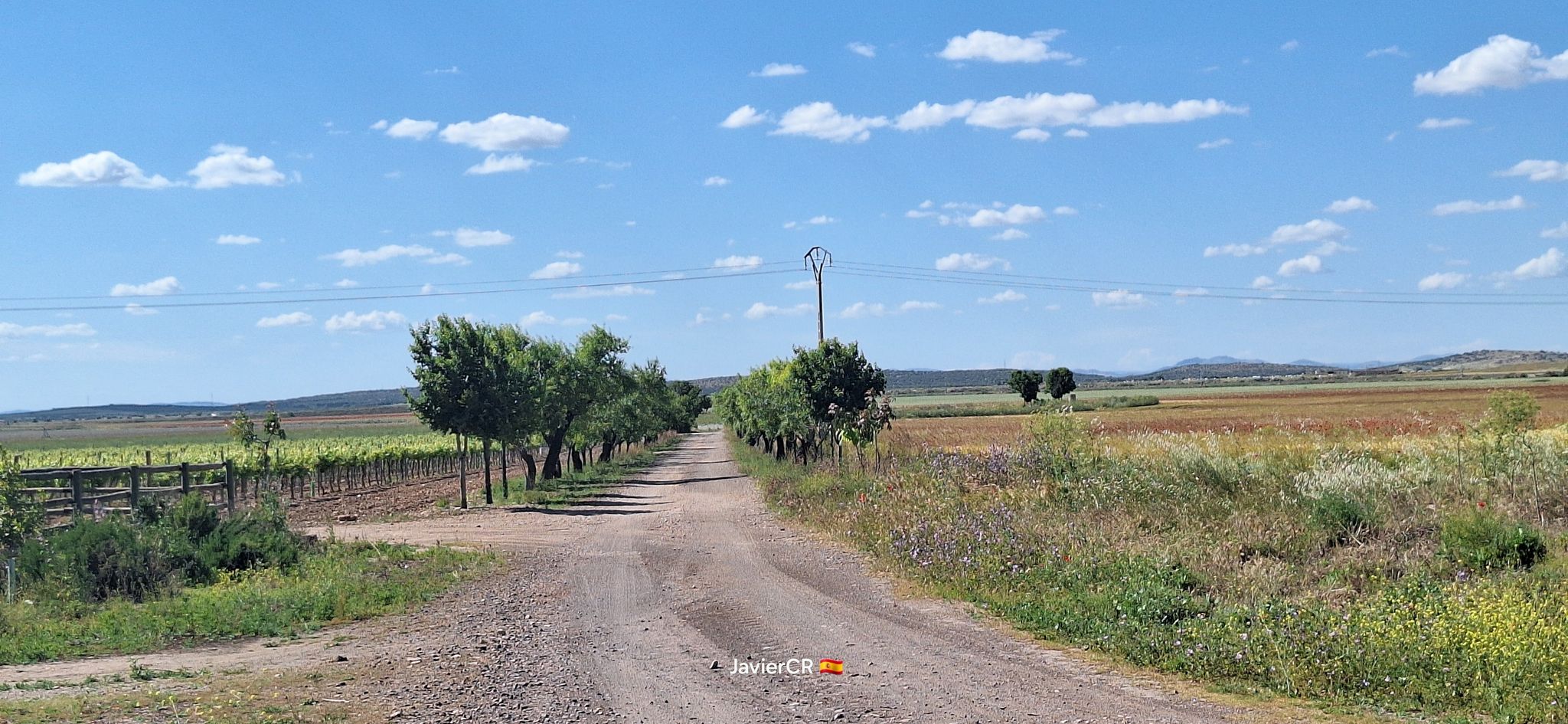 La Membrilleja (Este)
