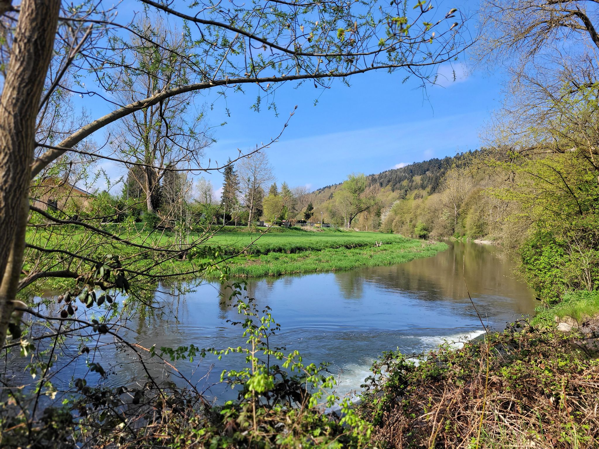 Bei Tuttlingen: Die junge Donau