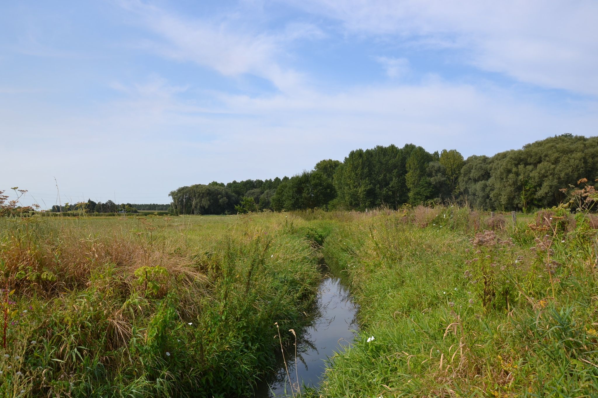 de Velpe