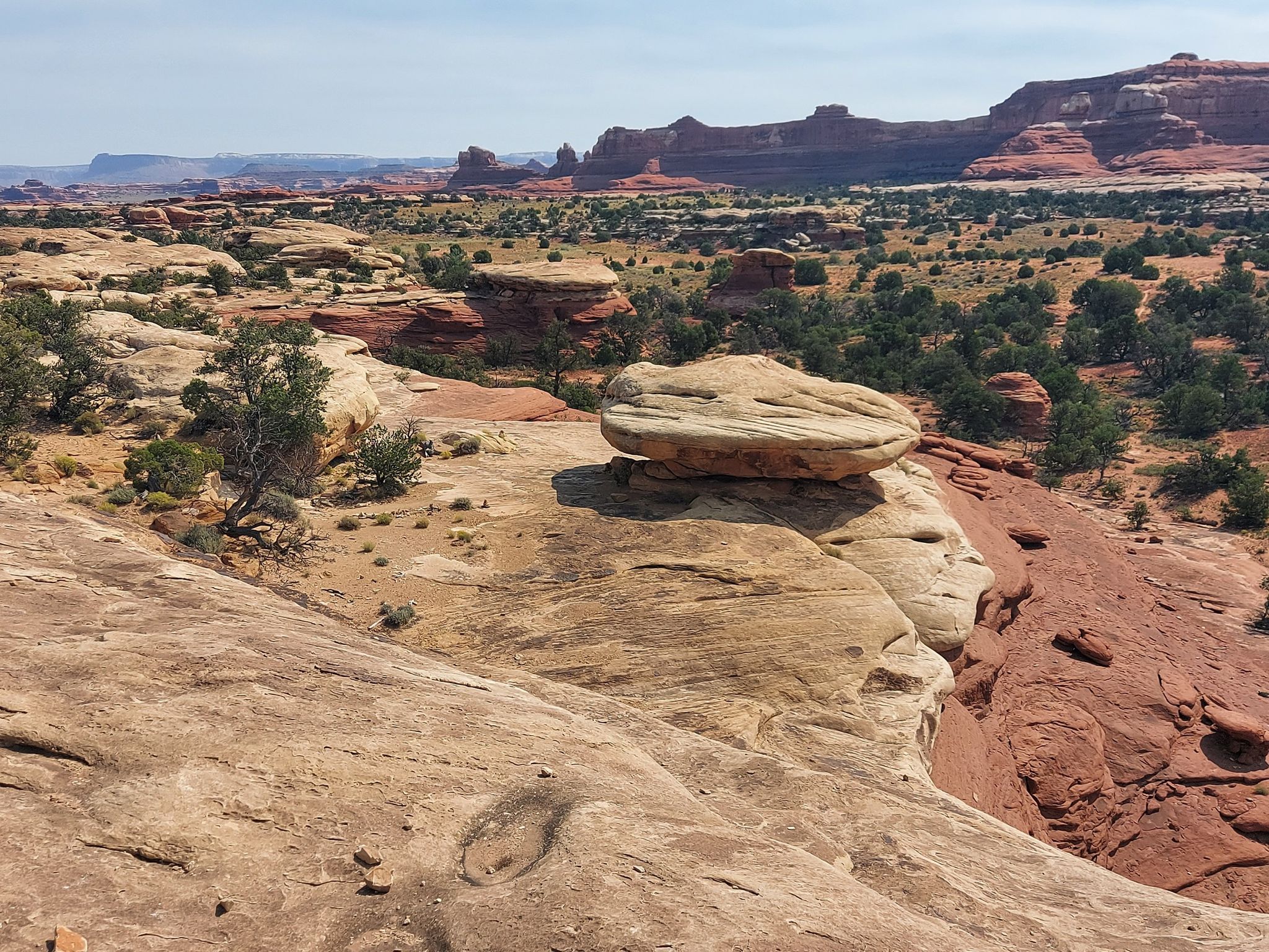 Expansive desert landscape with red and tan rock formations under a clear sky. - Squaw Flat Trailhead loop from Salt Flat Trailhead