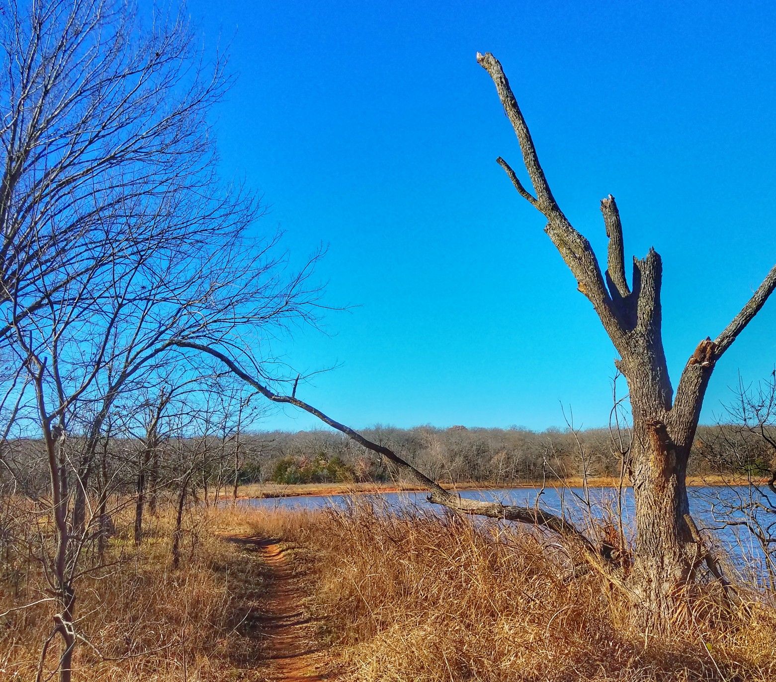 A narrow dirt path winds through dry grass beside a lake. - Clear Bay Blue Loop