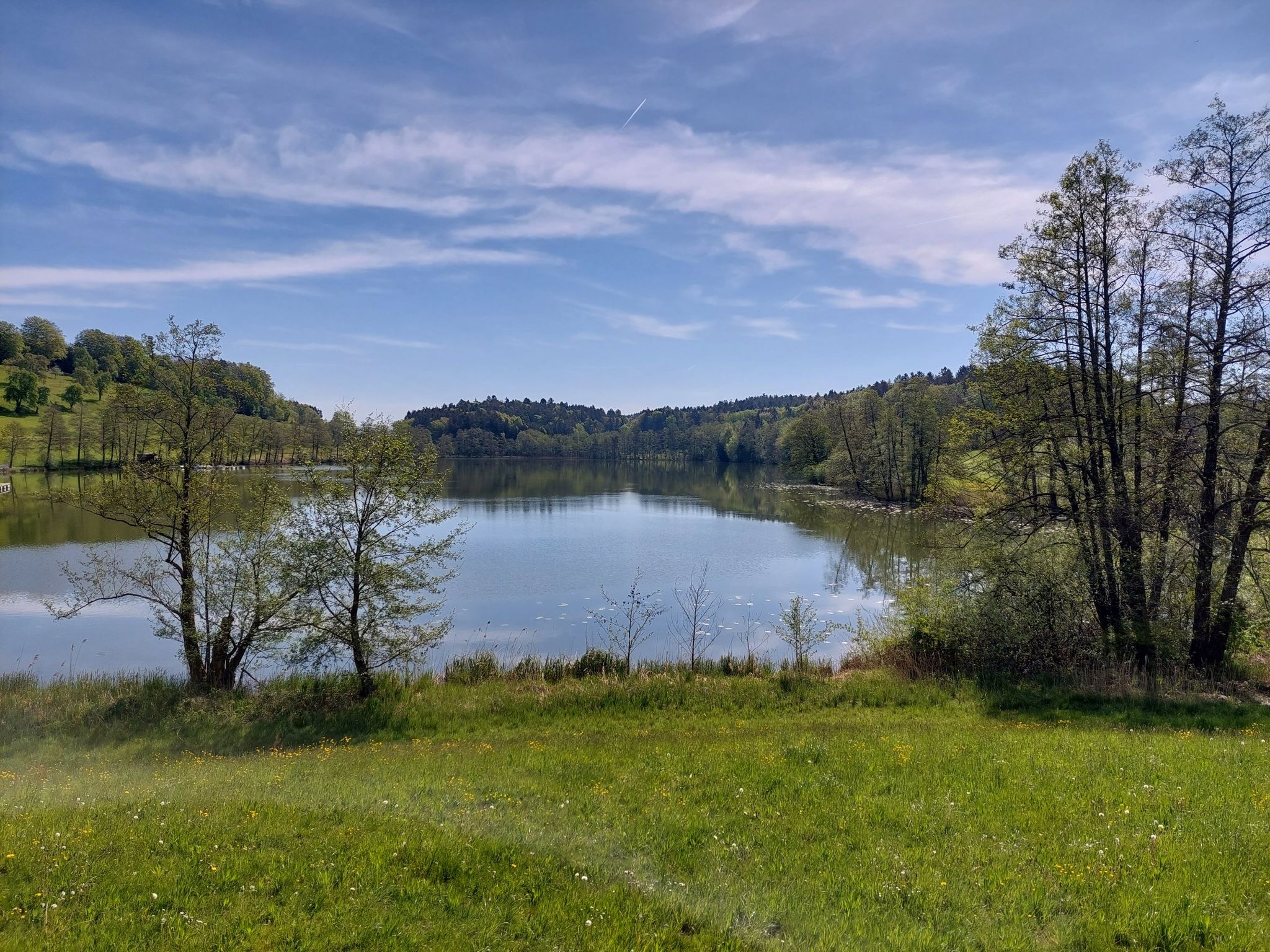 SCHLEINSEE   NÄHE TETTNANG