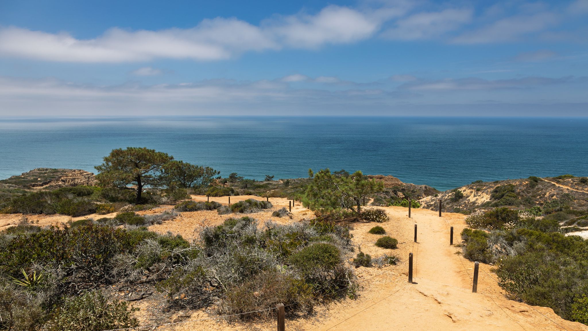 Sunny dirt path with wooden posts leading towards the ocean horizon. - Red Butte Viewpoint – Magnificent Hike loop from Torrey Pines State Natural Reserve