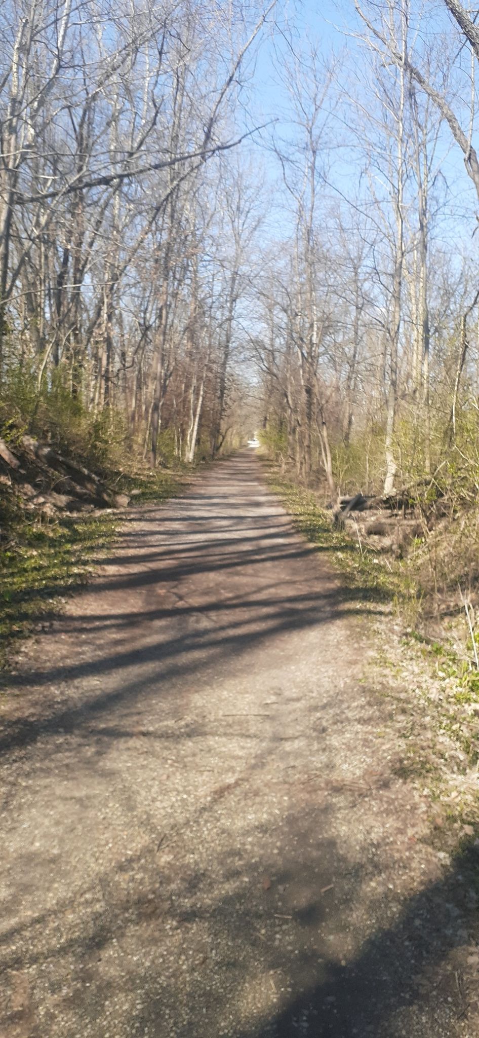 A sunny dirt path through a forest of bare trees. - Bloomington Courthouse Square – Limestone Greenway loop from Bloomington