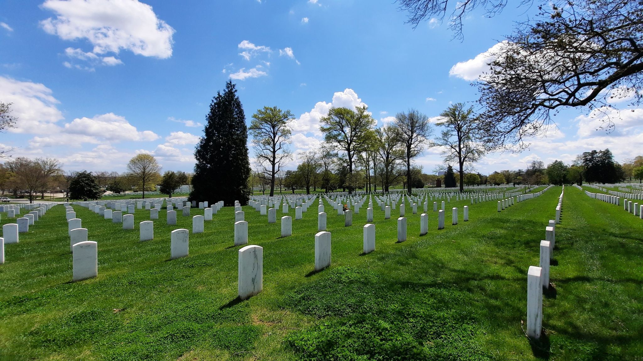 Endless rows of white grave markers on a sunny green field with trees. - Arlington National Cemetery