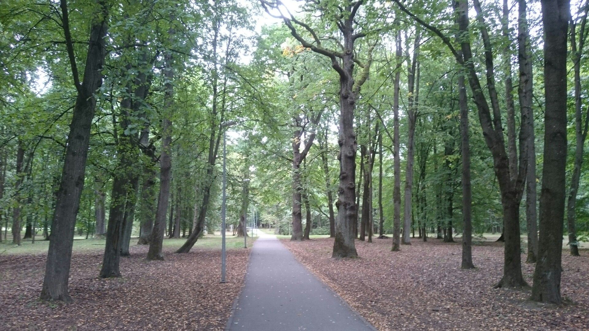 Im Park der 700 Eichen
