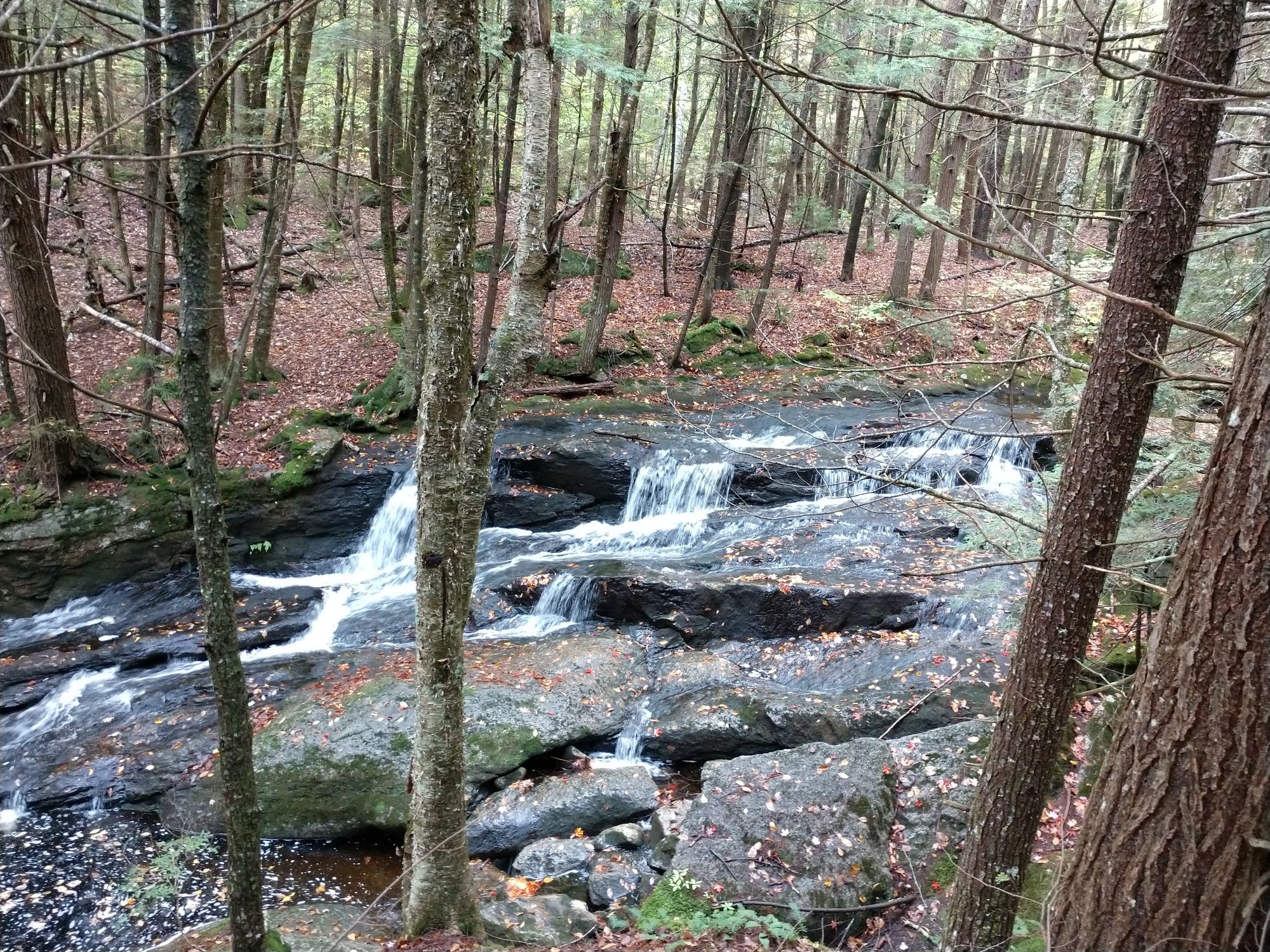 Cascading stream flows over rocks through a dense, green forest. - Sunapee-Ragged-Kearsarge Greenway