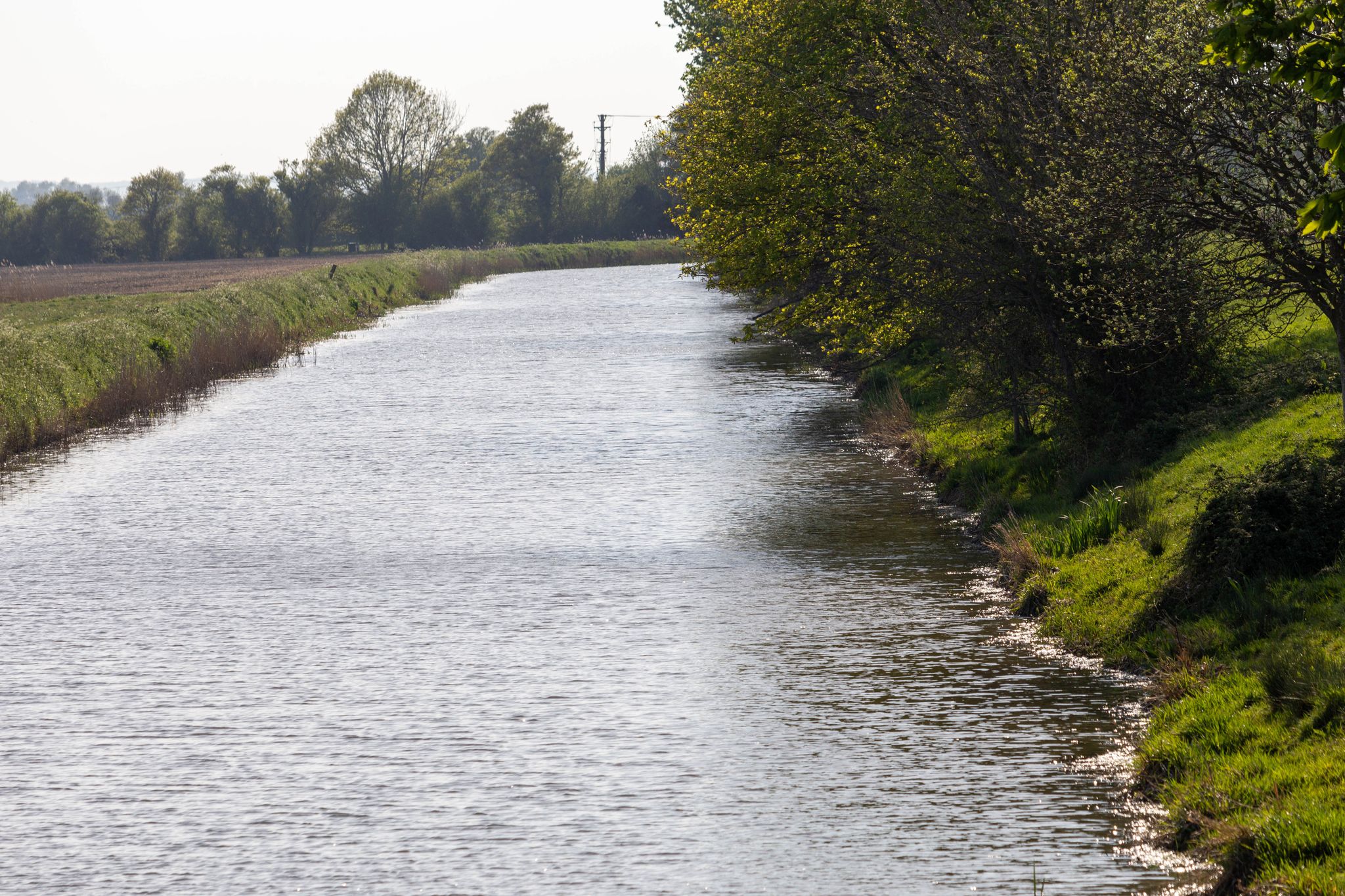 Royal Military Canal, West towards Warehorne