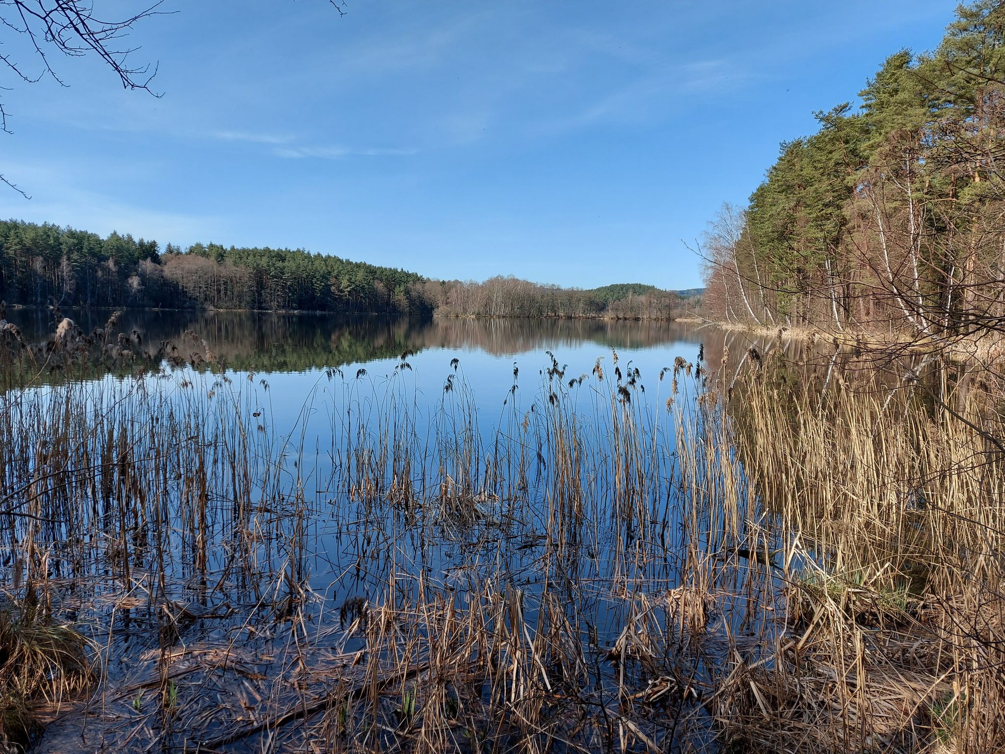 Der Kulmbergweiher 
