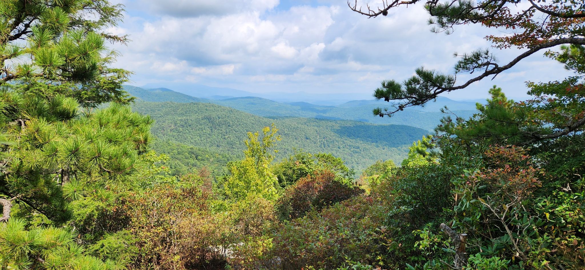 Lush green mountain range under a partly cloudy sky, framed by trees. - Hawksbill Mountain Loop