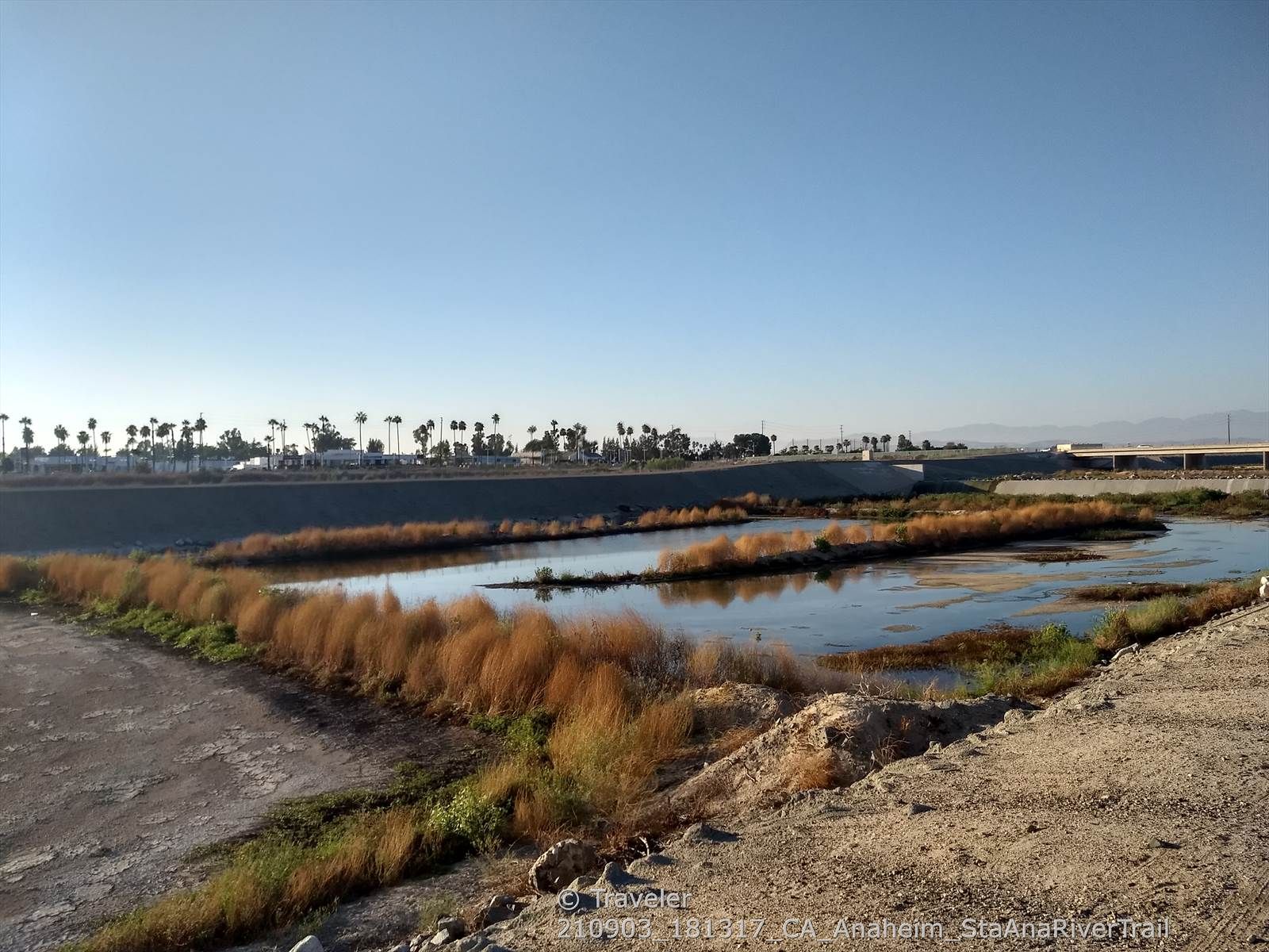 River with marshy vegetation, palm trees, and distant bridges under clear sky. - Talbert Regional Park – Santa Ana River Trail loop from Huntington Beach International Surfing Museum