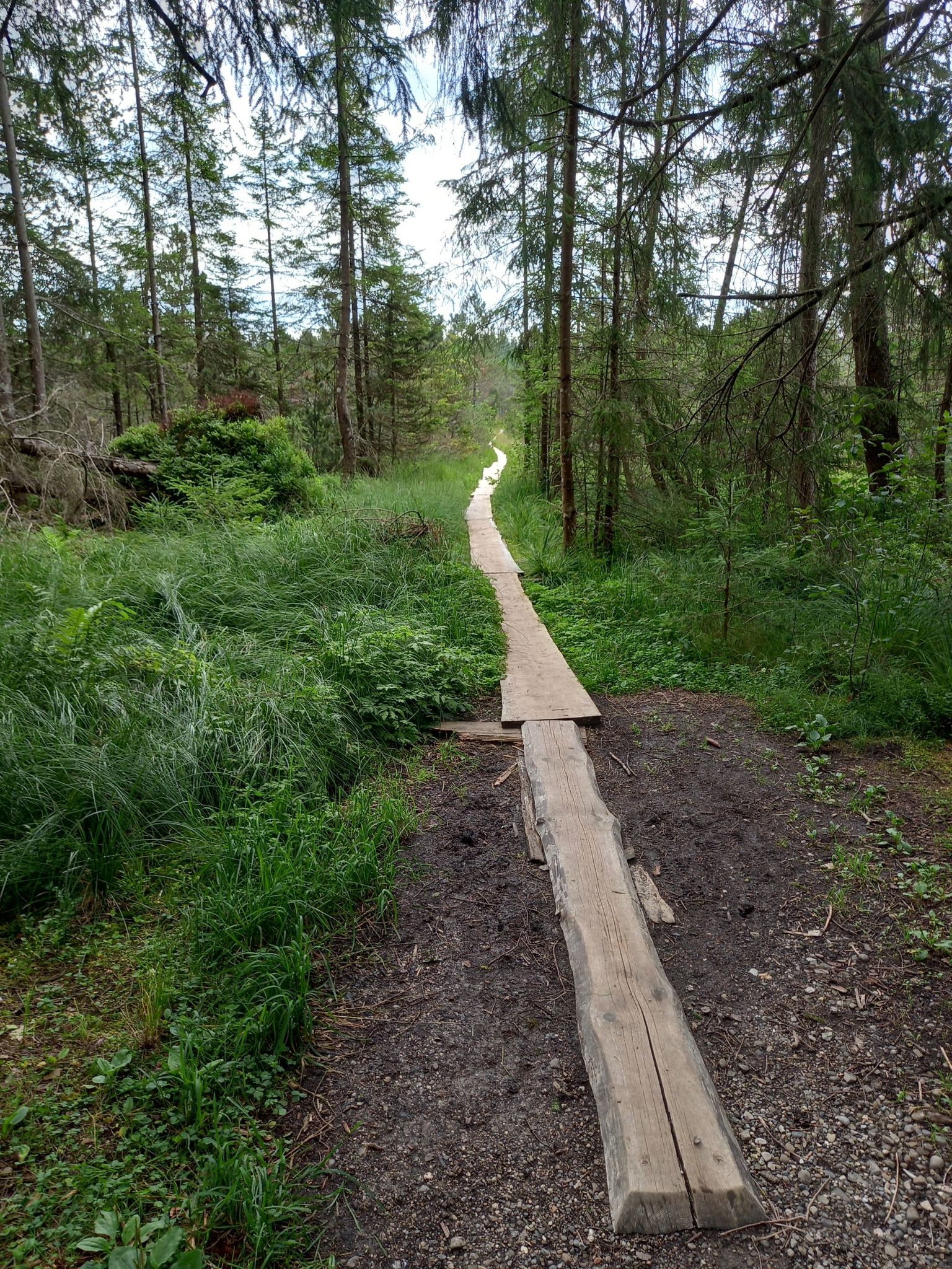 Brettleweg Ende