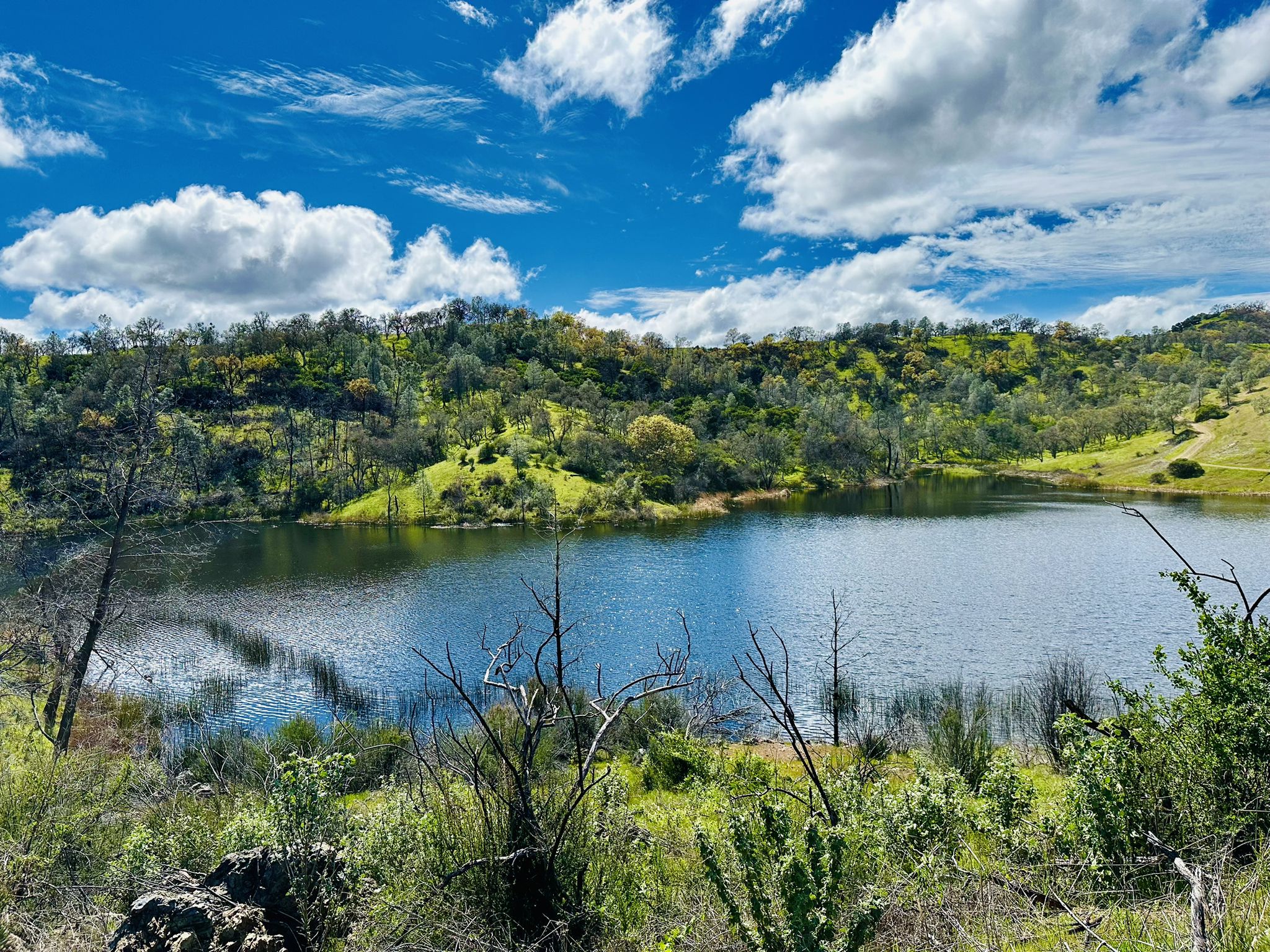 Serene lake surrounded by lush green hills under a bright blue sky. - Coit Lake Loop