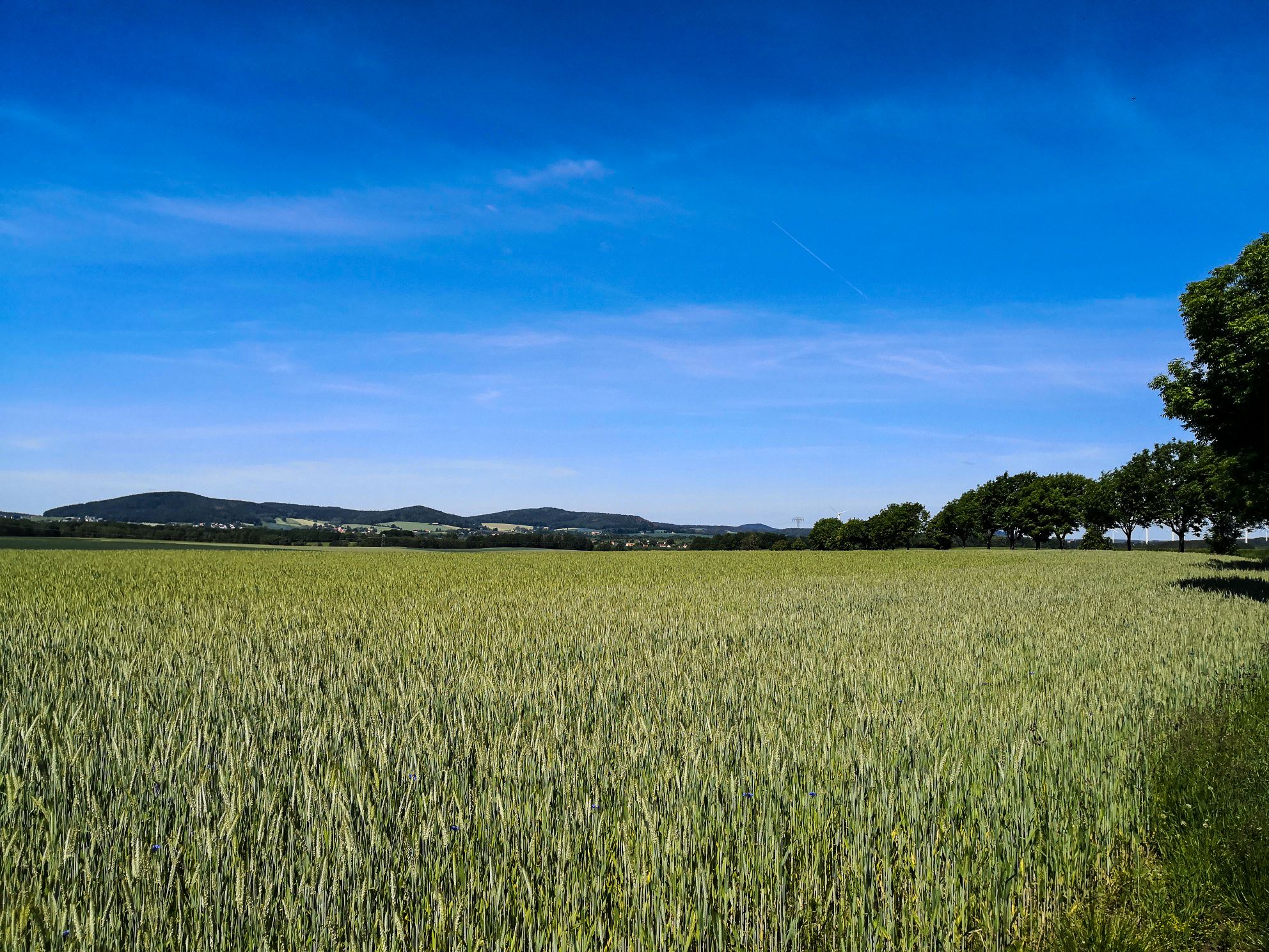 Lausitzer Bergland