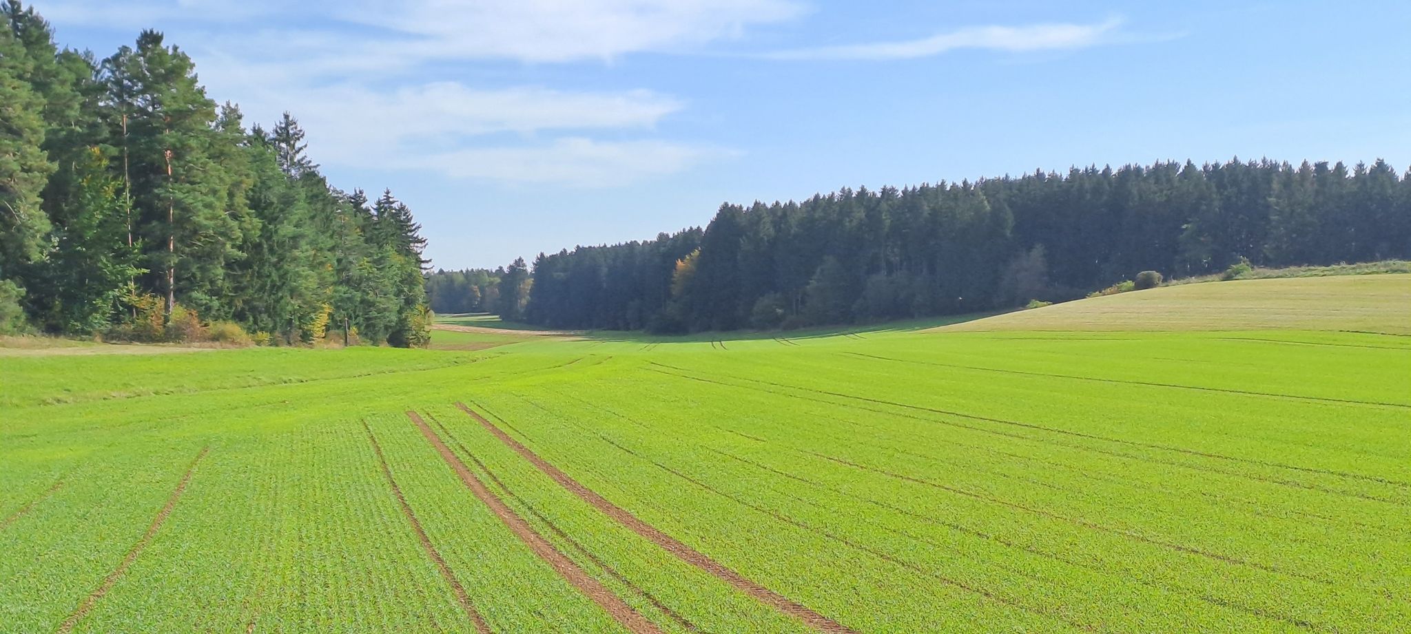 Schöne Landschaft