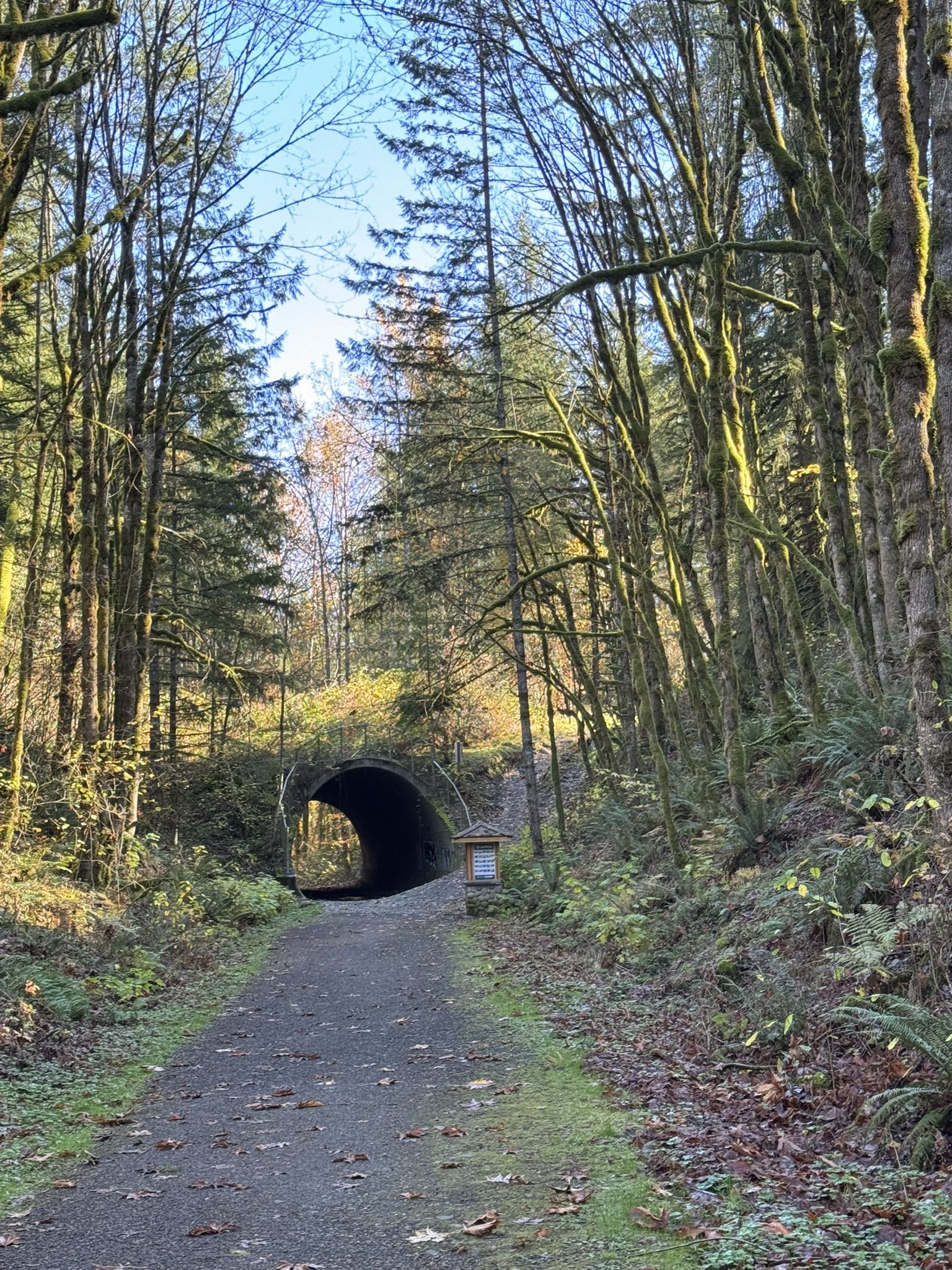 Path leading to a dark stone tunnel through a dense forest. - Snoqualmie Valley Trail and Tokul Loop