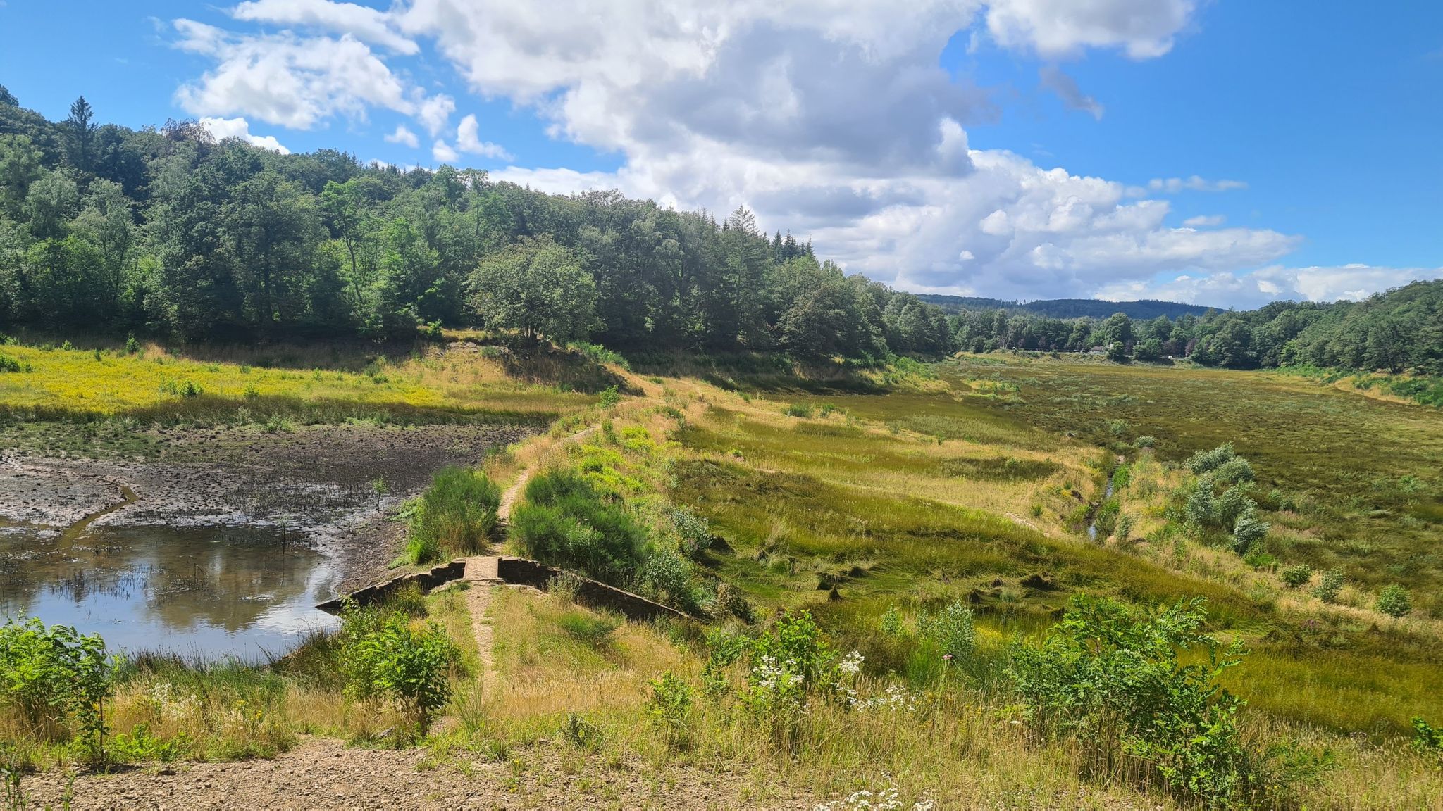 Die Steinbachtalsperre ohne Wasser im See