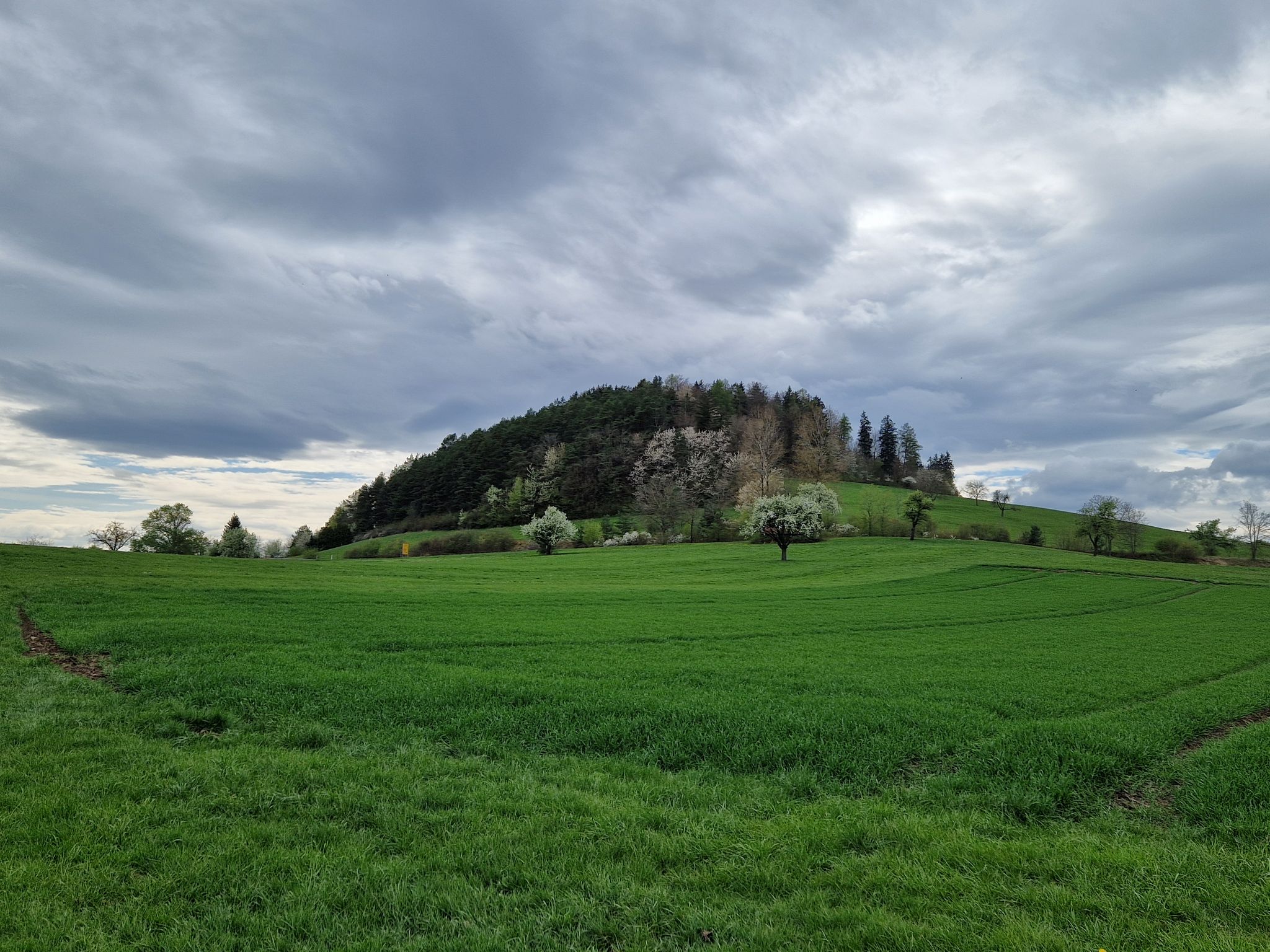 Rangenbergle