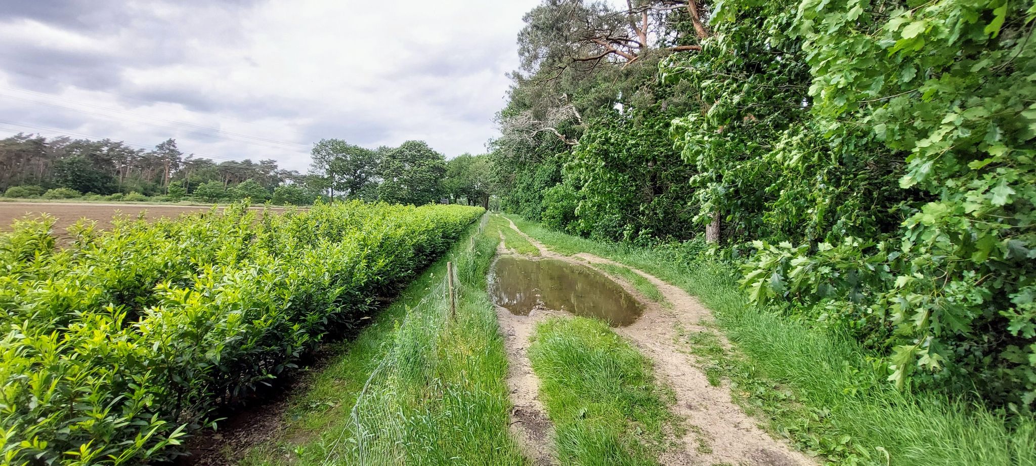 Op deze landweg voor het eerst grote plassen gezien; in natte perioden is het hier wel extra modderig