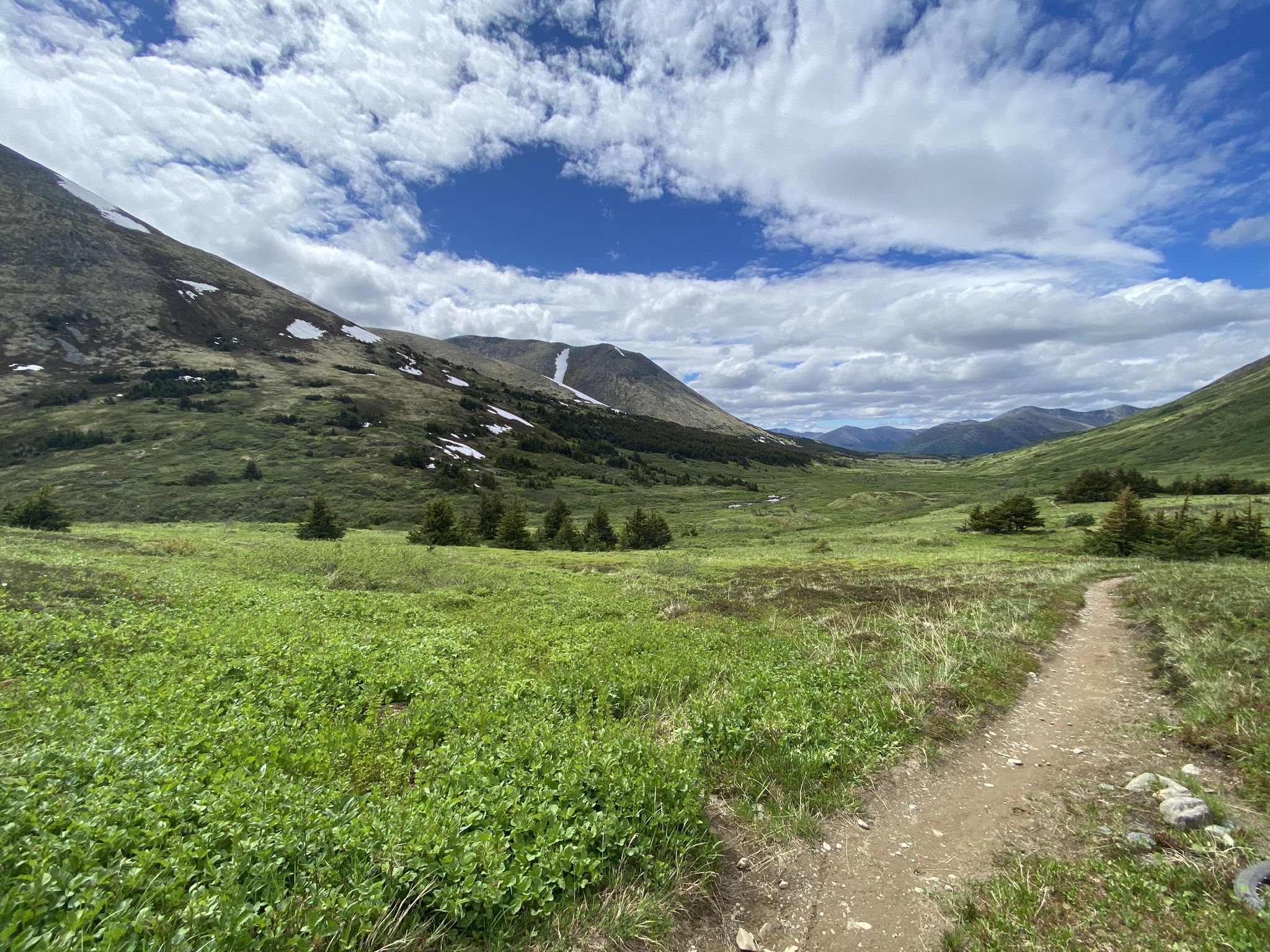 A dirt path winds through a bright green valley with distant mountains. - Resurrection Pass Trail