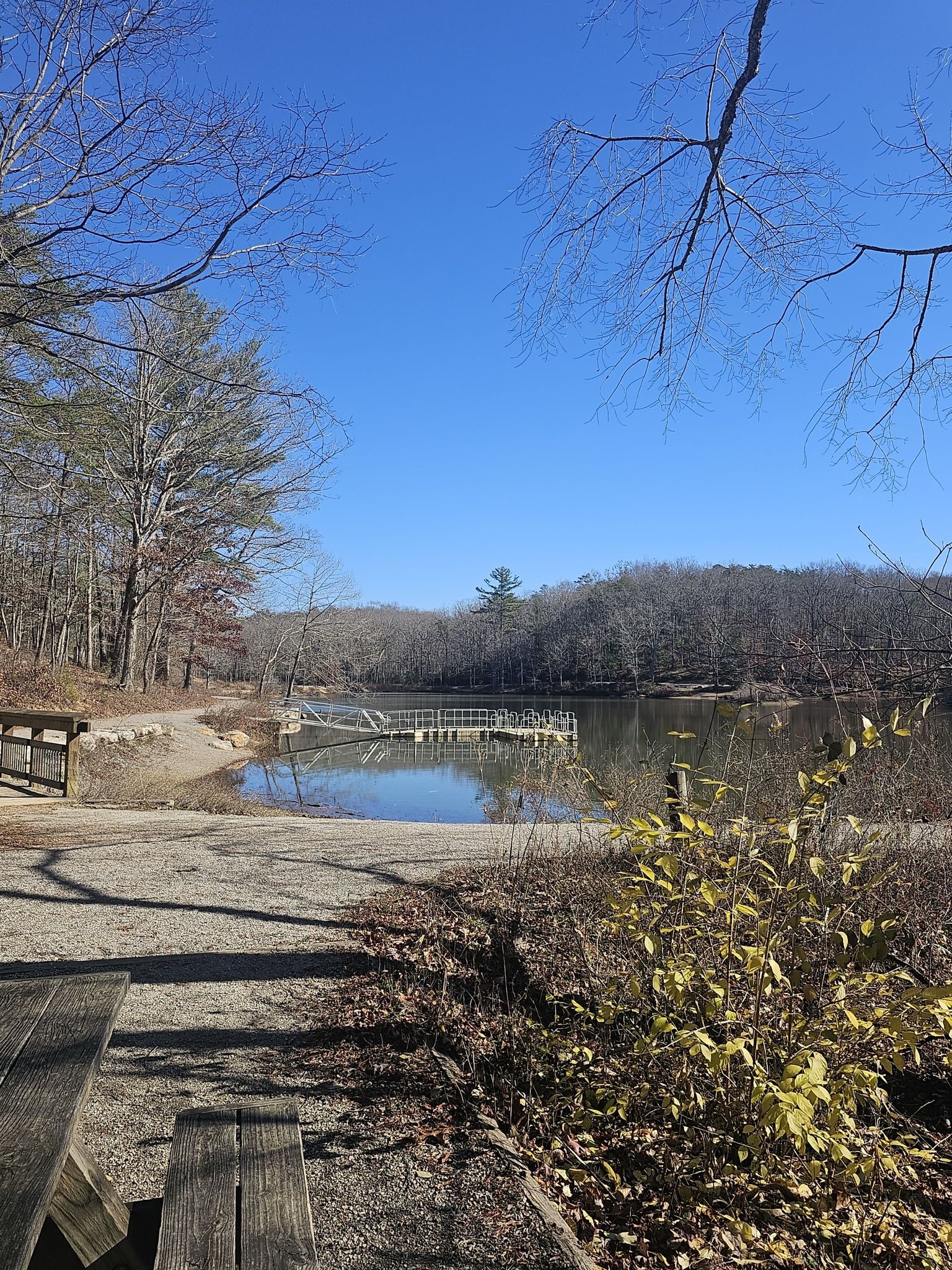 Sunny view of a lake with a dock, surrounded by bare trees. - May Apple Trail – Pandapas Pond loop from Pandapas Pond Dam