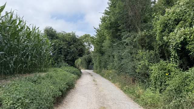 Randonnée