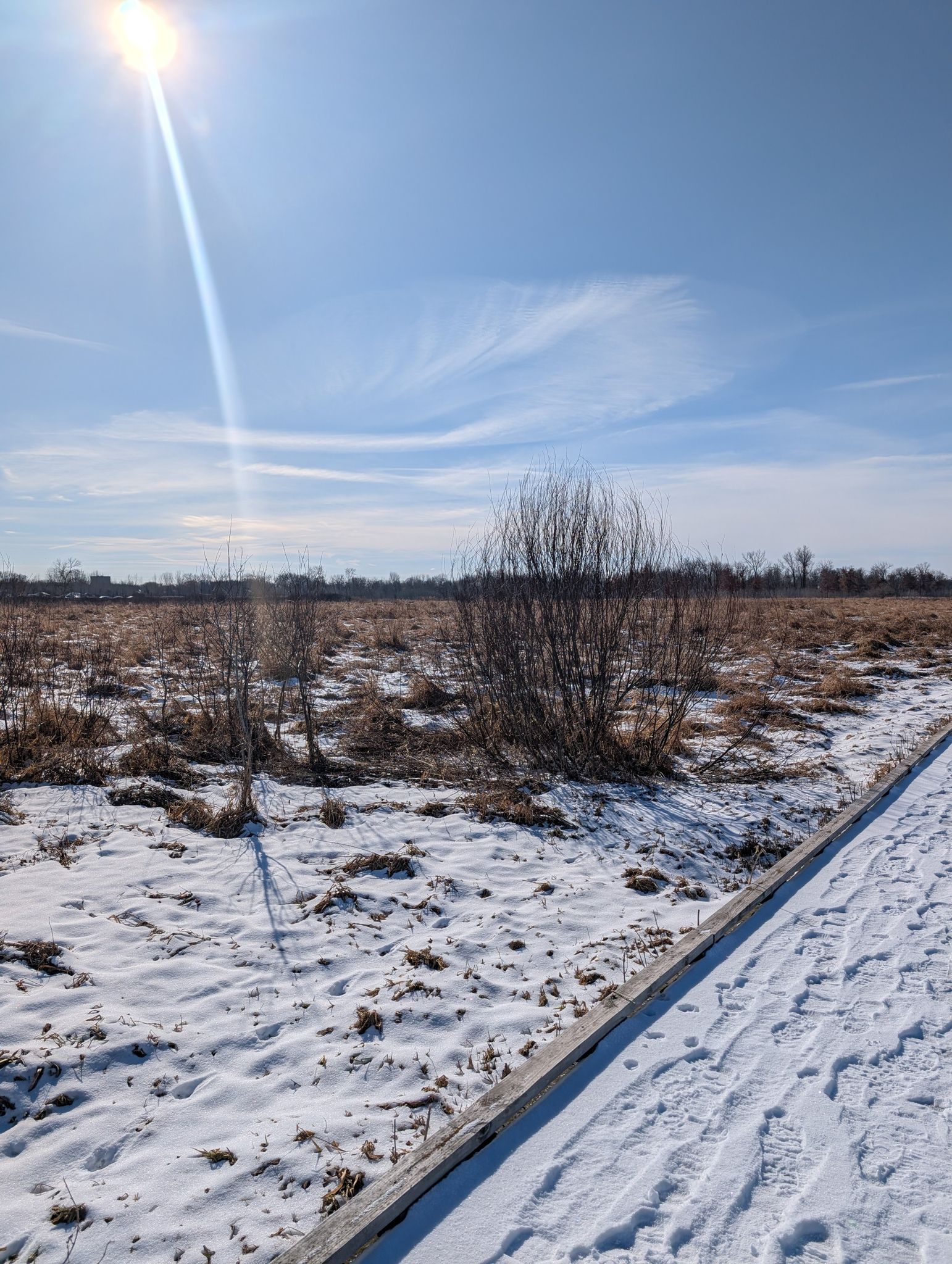 Sunny winter day over a snowy field with a wooden boardwalk. - Blaine Wetland Sanctuary Path and Boardwalk