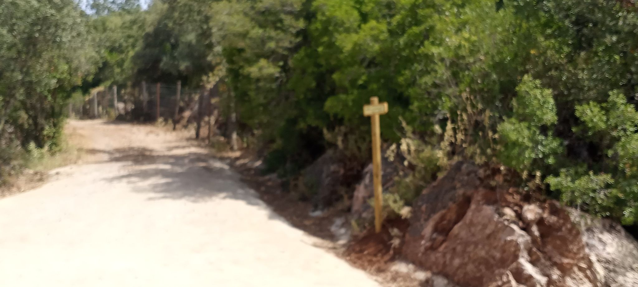 camino a Fuenteheridos