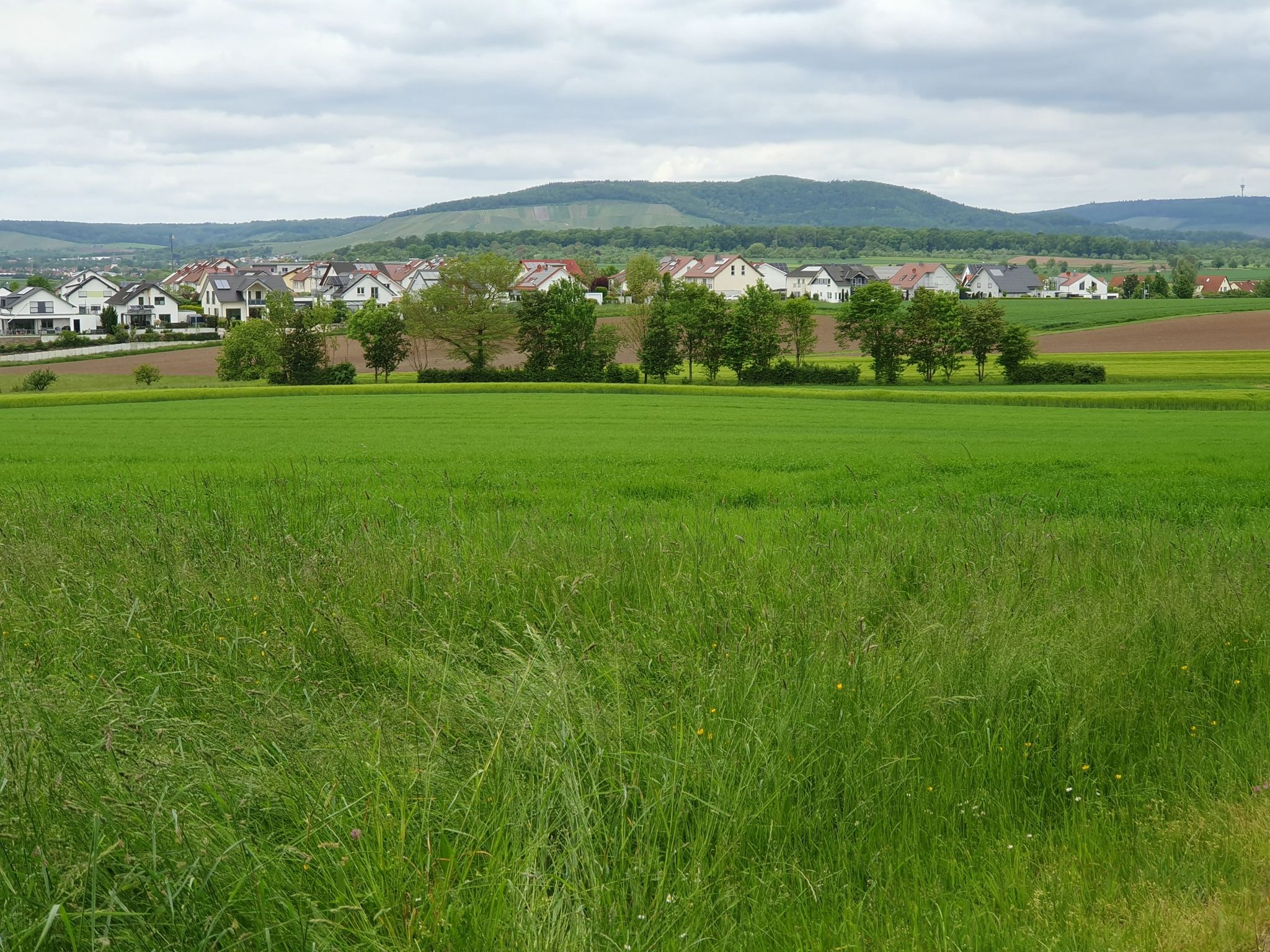 Blick auf Sersheim