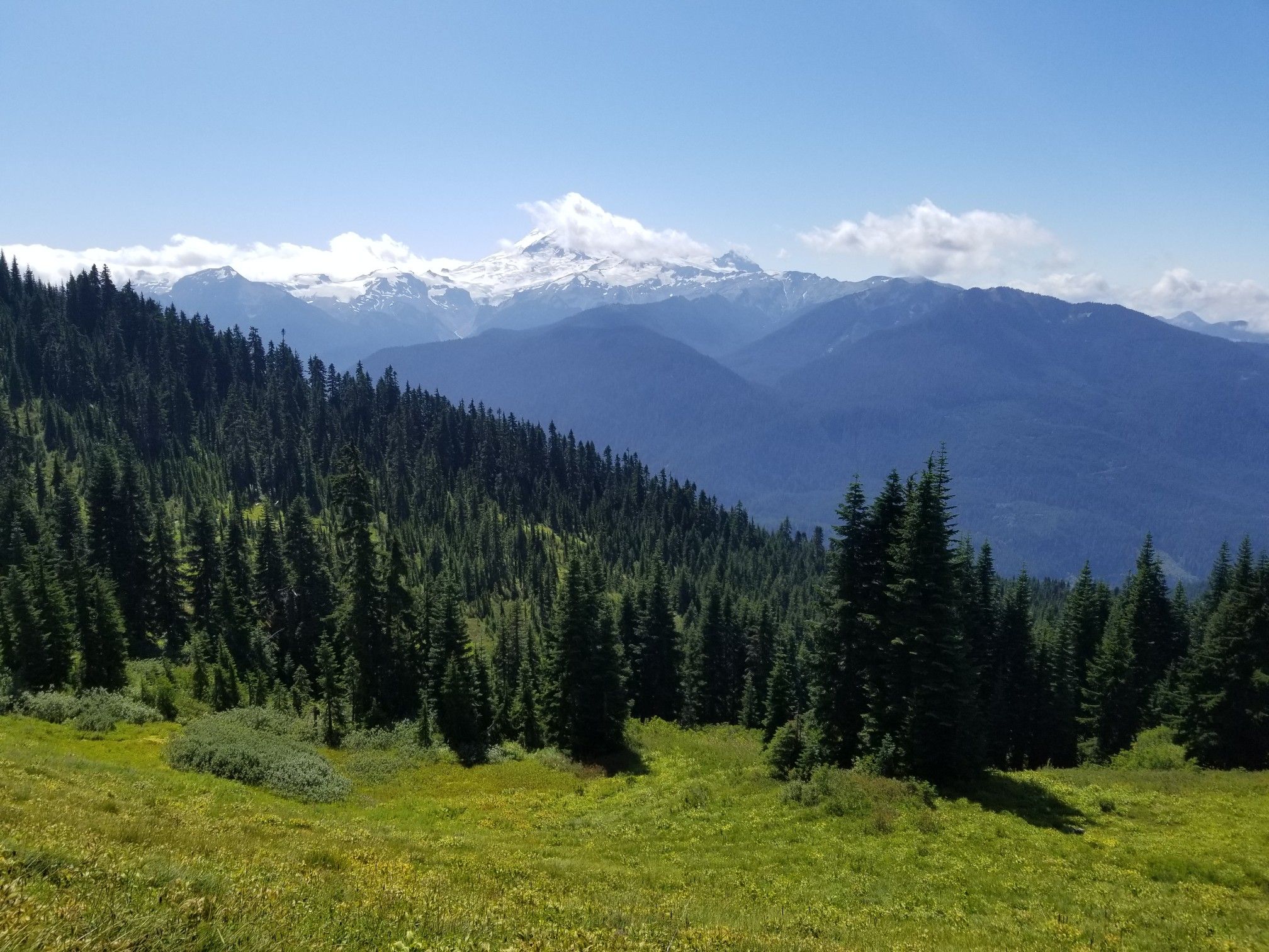 Sunny alpine landscape with a snow-capped peak, green forest, and meadow. - Excelsior Peak loop from Nooksack Diversion Dam