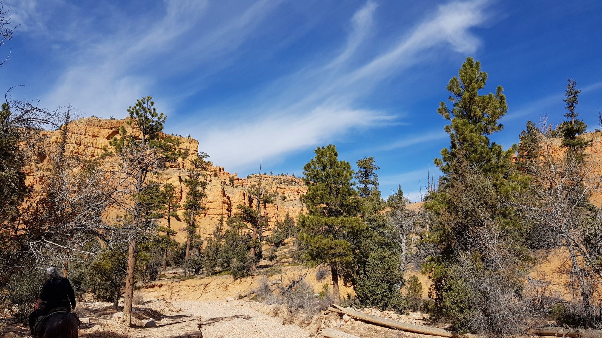 Person on horseback on a dirt path, red rock formations, pine trees, blue sky. - Red Canyon Bicycle Trail – Red Canyon Bicycle Trail loop from Black Mountain