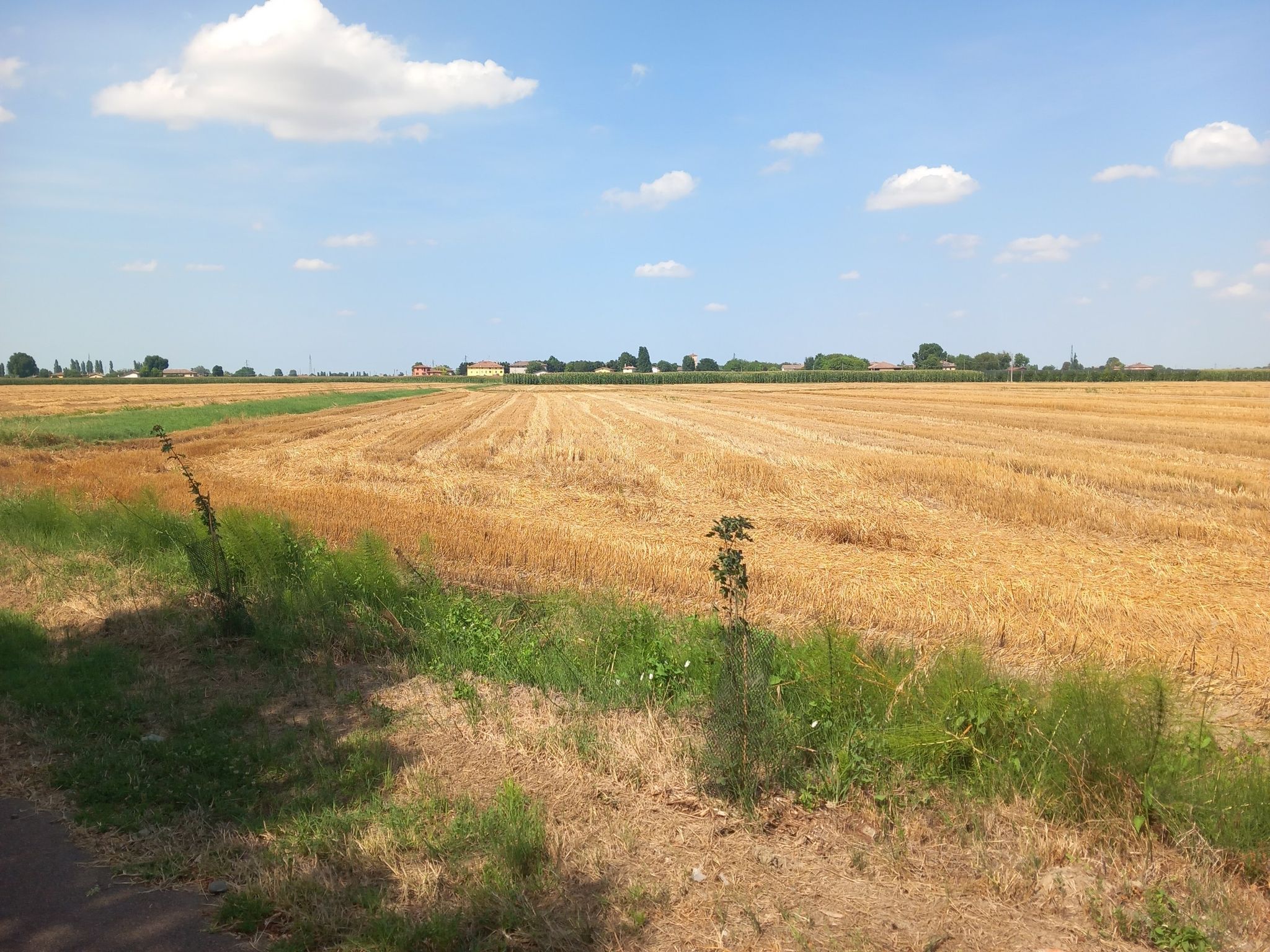 Emilia Romagna
