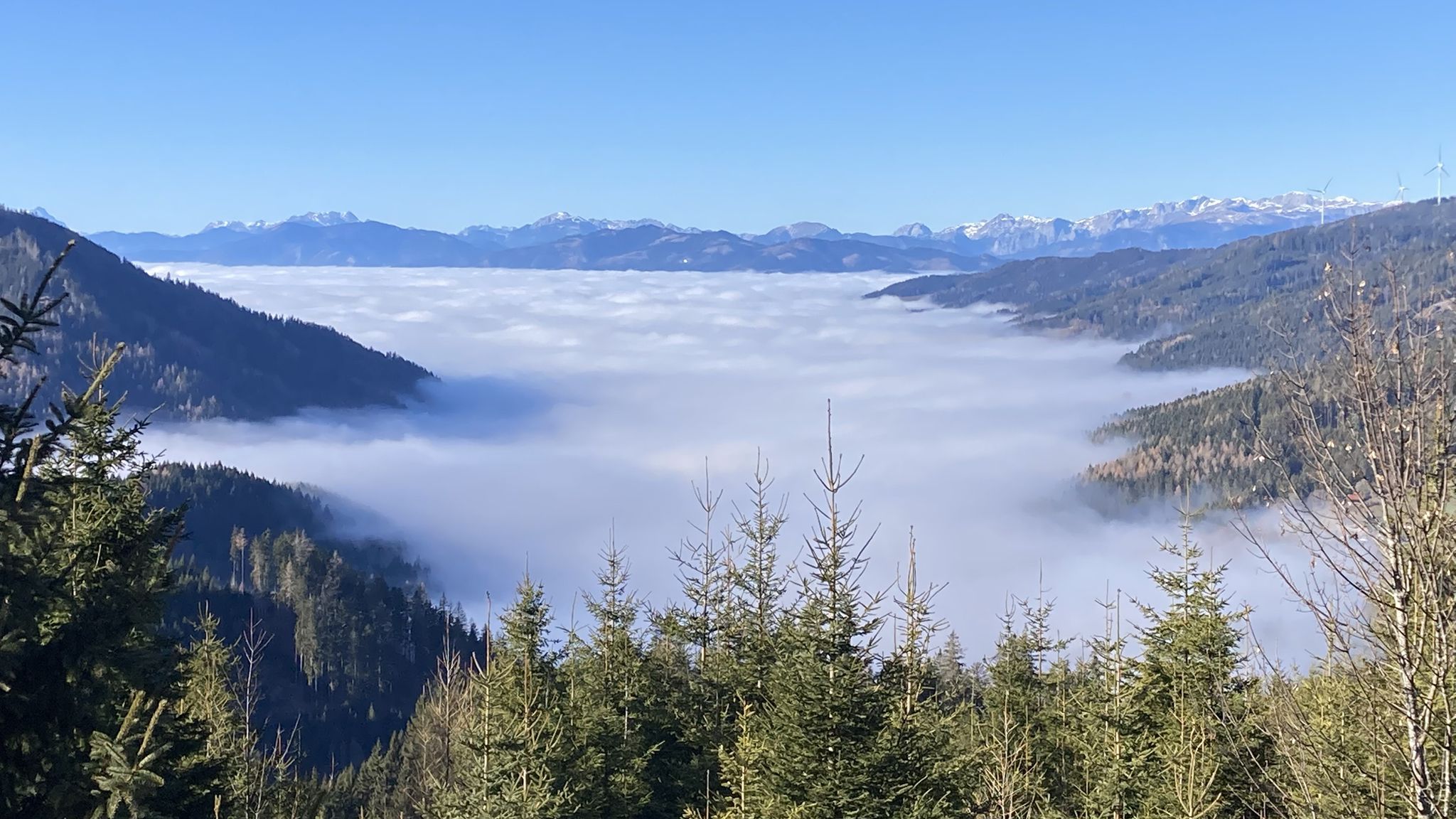 im Mürztal immer noch ☁️ ☁️