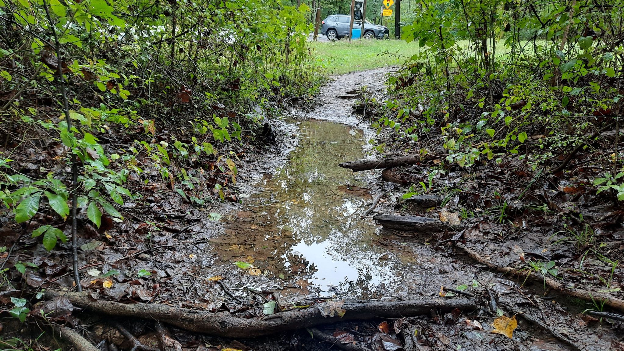 Muddy forest path with a large puddle, leading to a distant car. - Little waterfall loop from Timonium