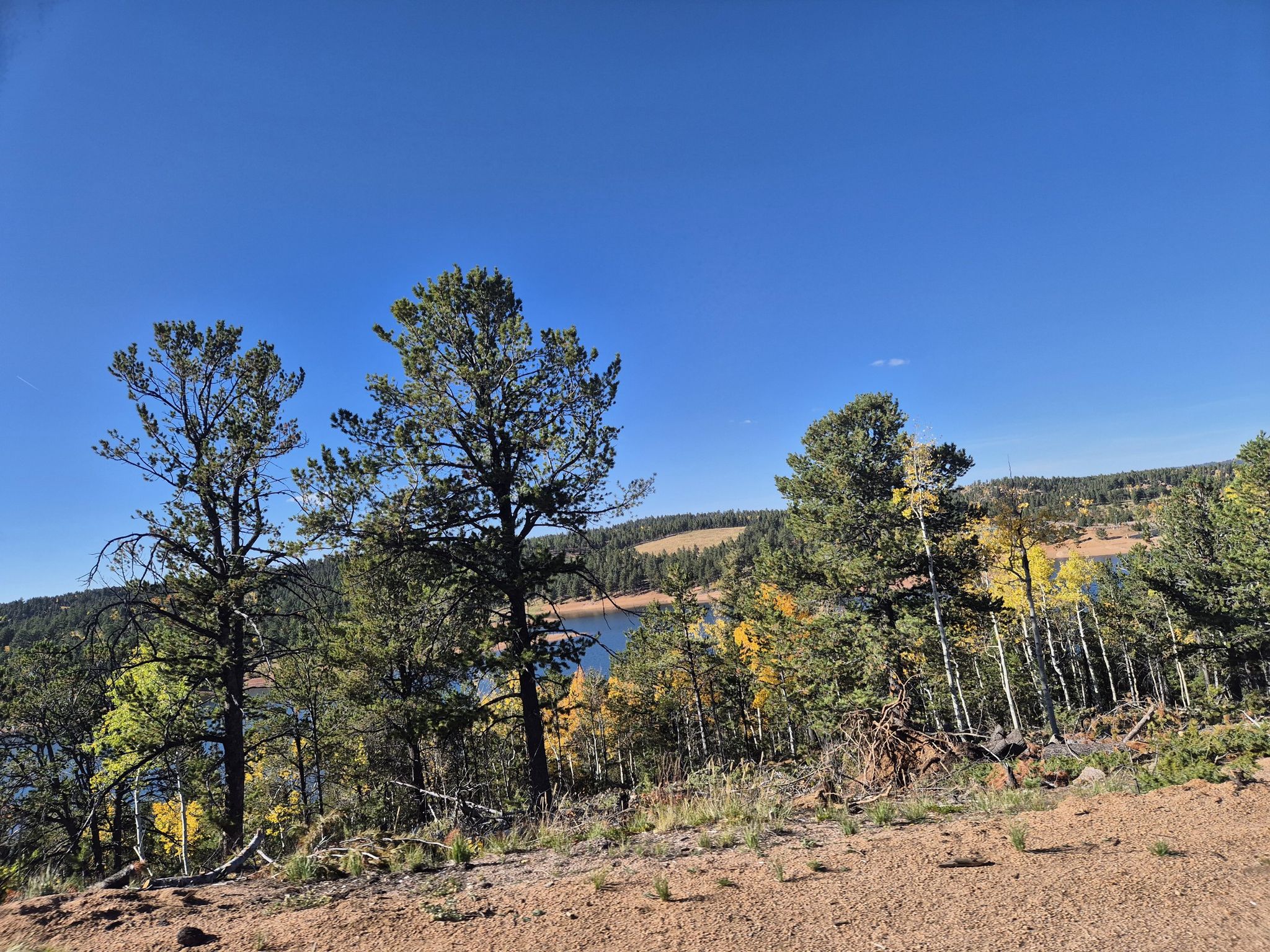 Forest hillside with pine and aspen trees overlooking a lake under blue sky. - Crystal Creek Reservoir – Glen Cove loop from Cascade