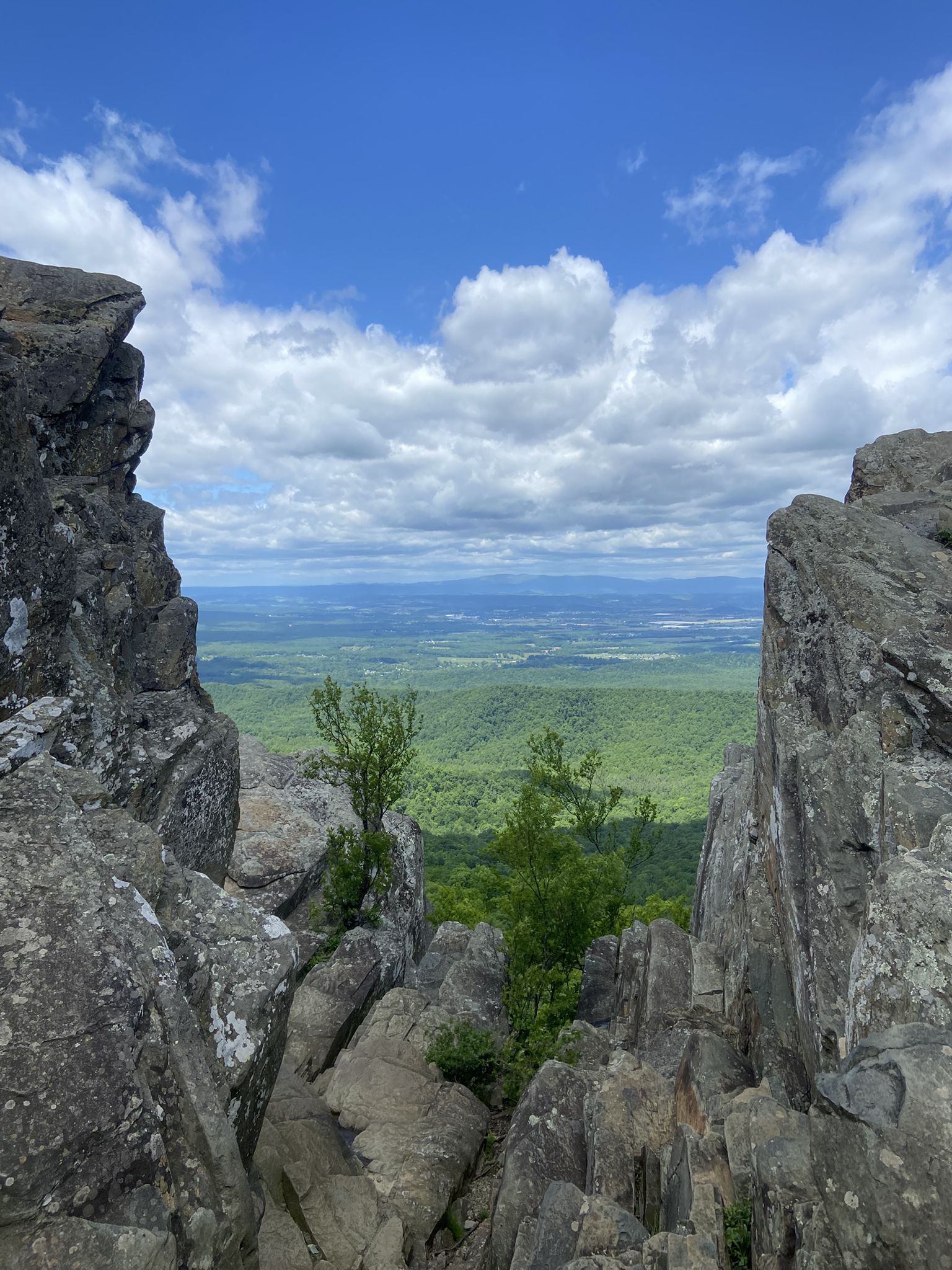 Rocky mountain vista overlooking a green valley under a bright blue sky. - Humpback Rocks Trail