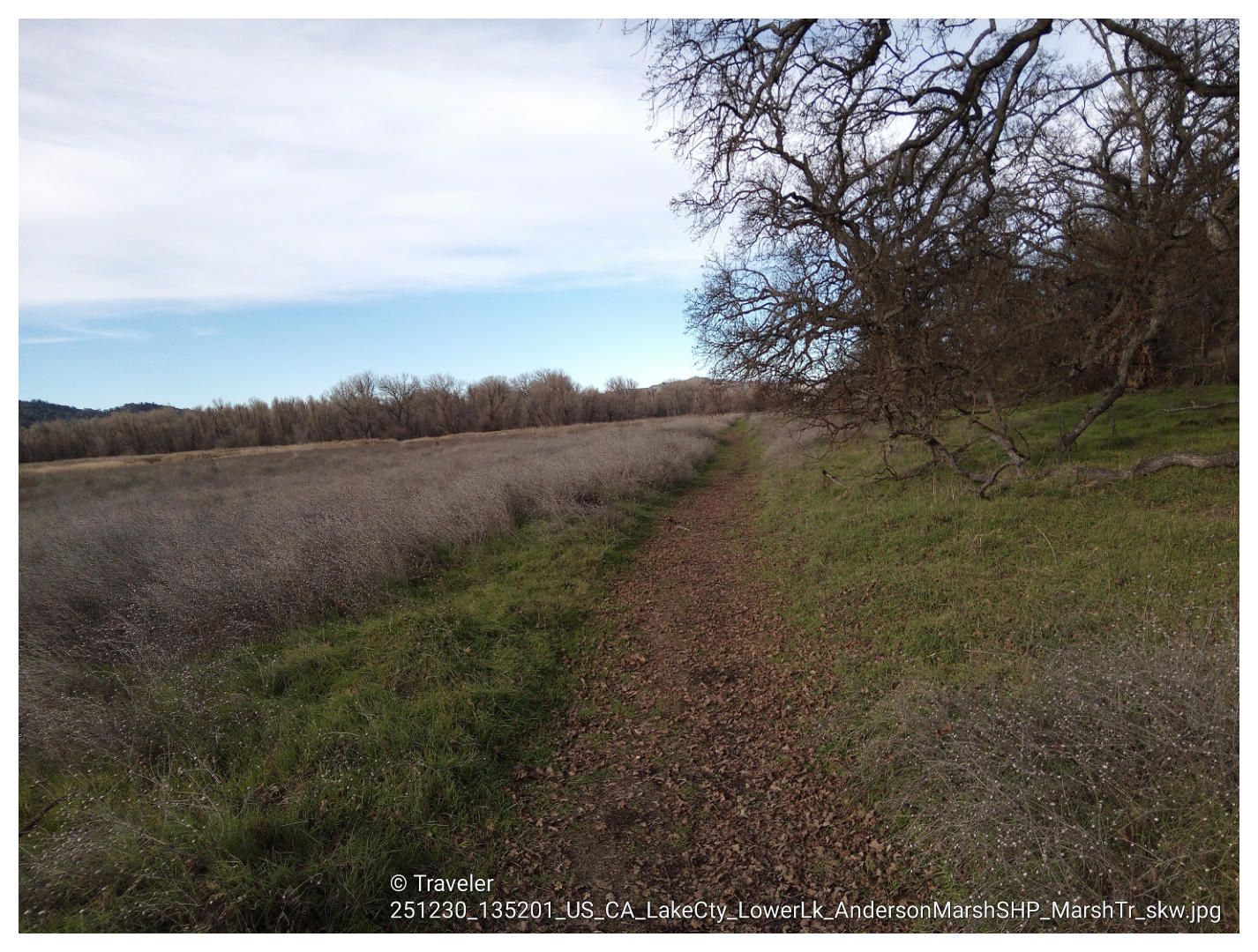 Dirt path through dry grassy field with bare trees under bright sky. - Anderson Flats and Ridge Trail Loop