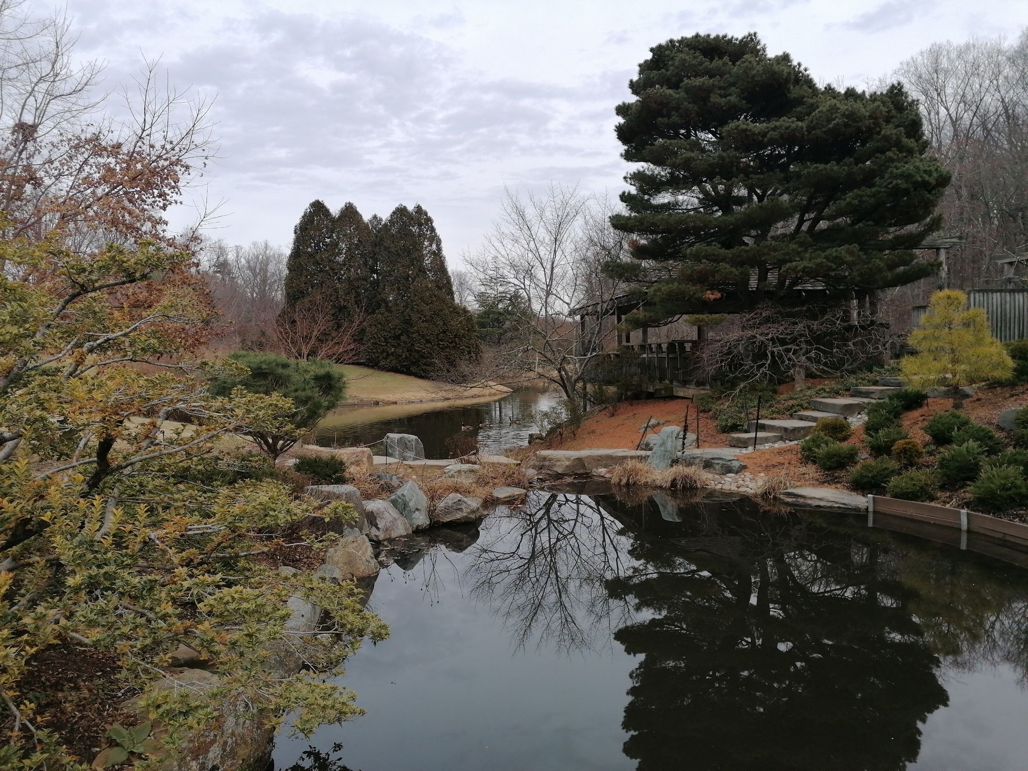 Tranquil garden pond with diverse trees and a small structure under cloudy skies. - Wheaton Regional Park Inner Loop