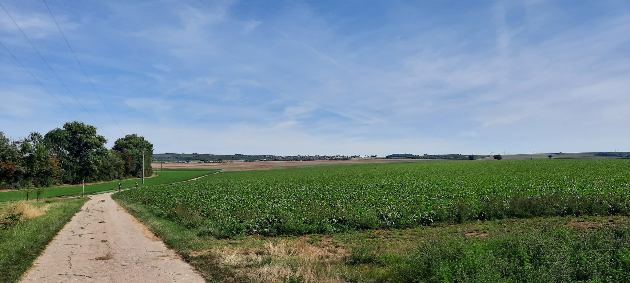 Radweg nahe Pommermühle