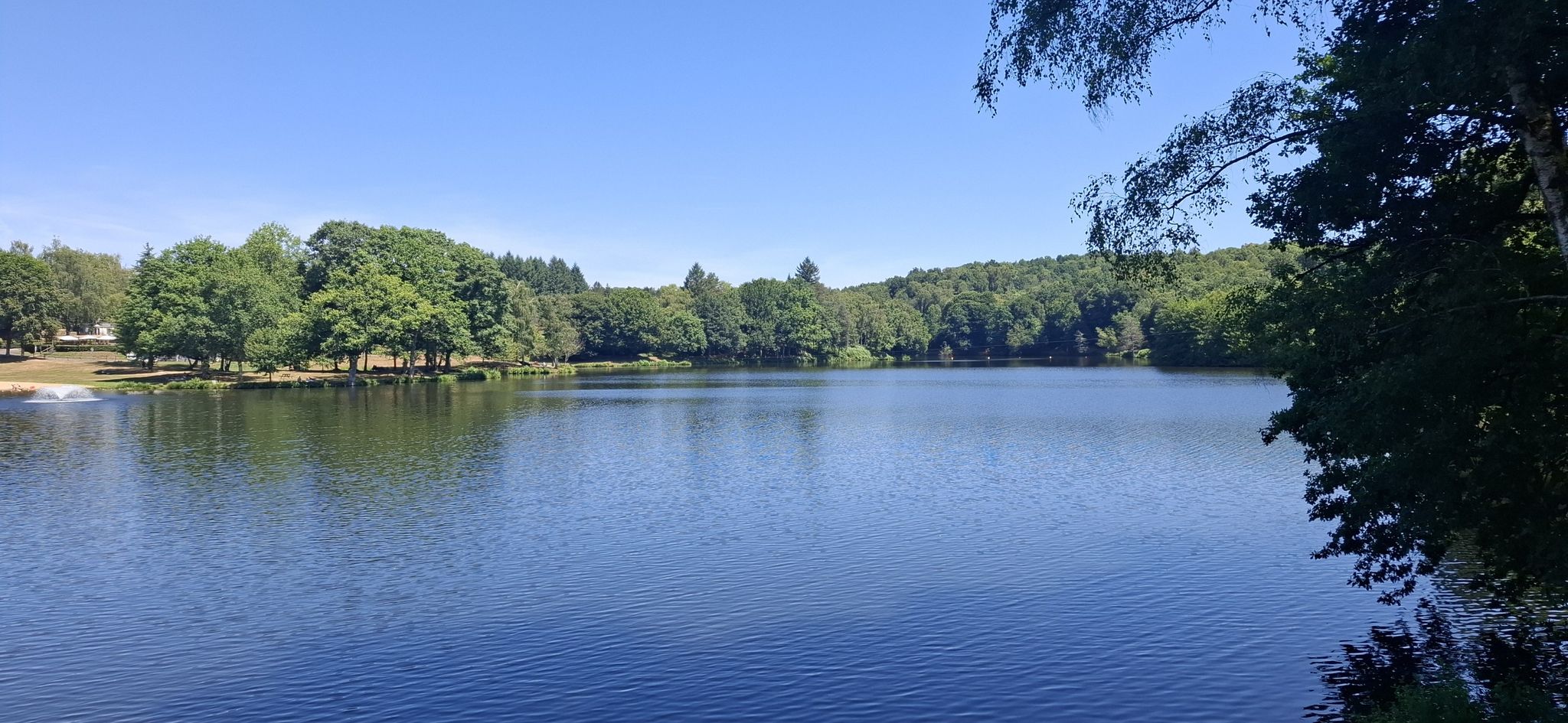 fishing part of lake