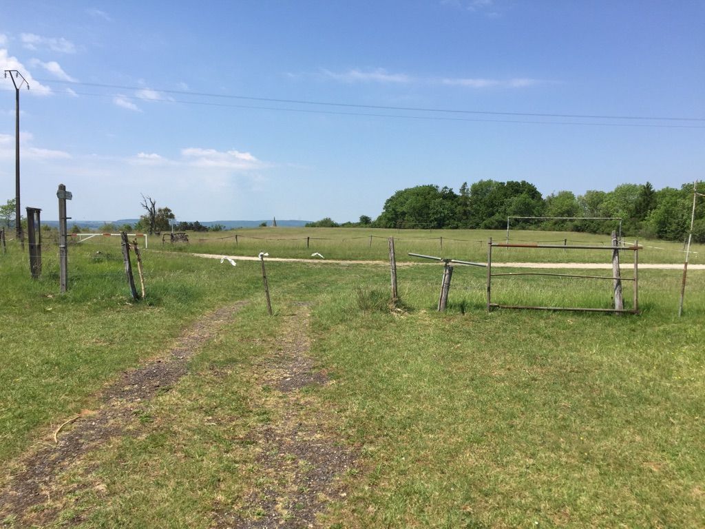 Gate
