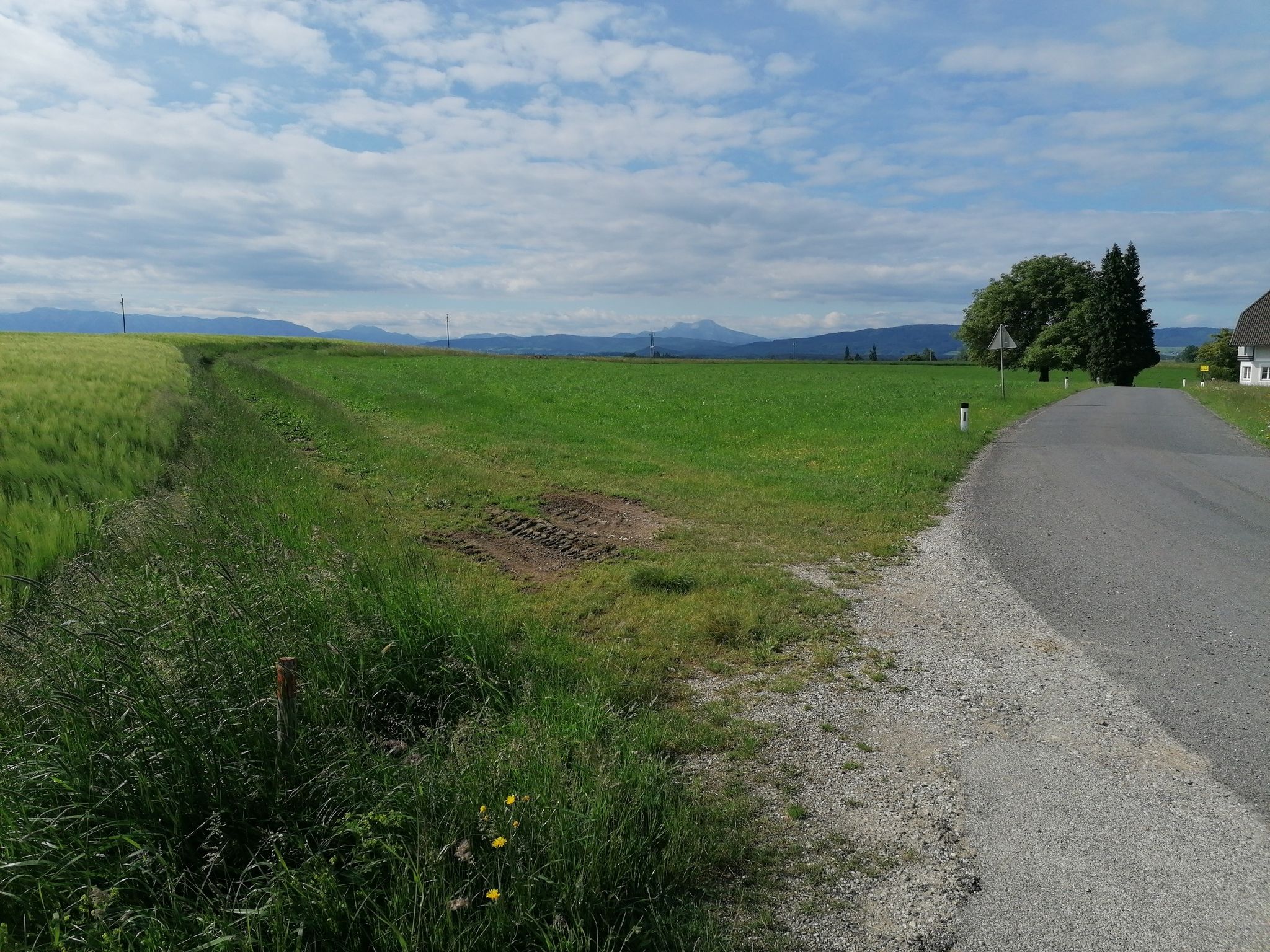 Steher - 2 Tafeln eine rechts zum Marterl und links den RW