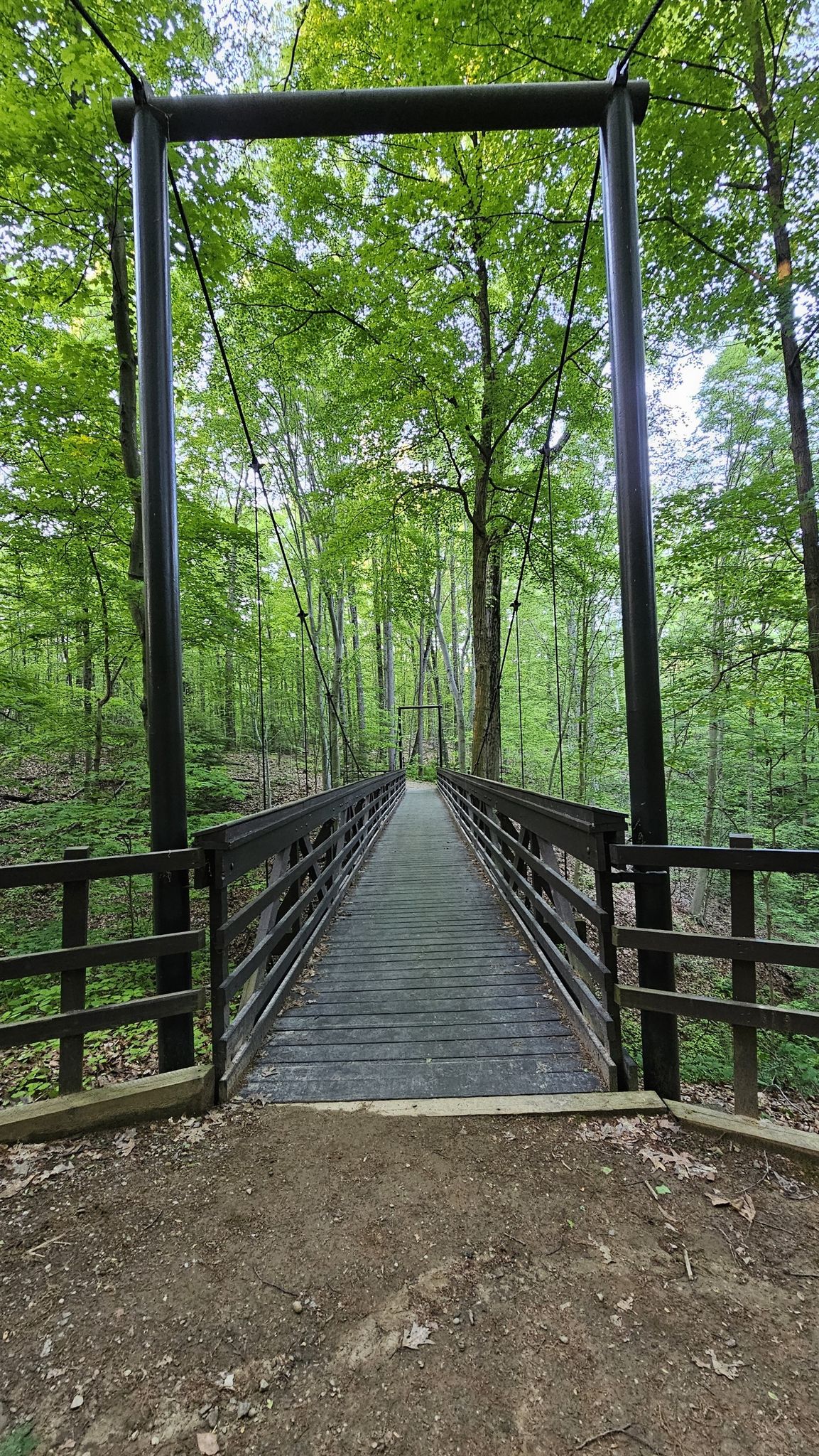 A wooden suspension bridge extends through a lush green forest on a bright day. - Cherry Lane and Fernwood Trail