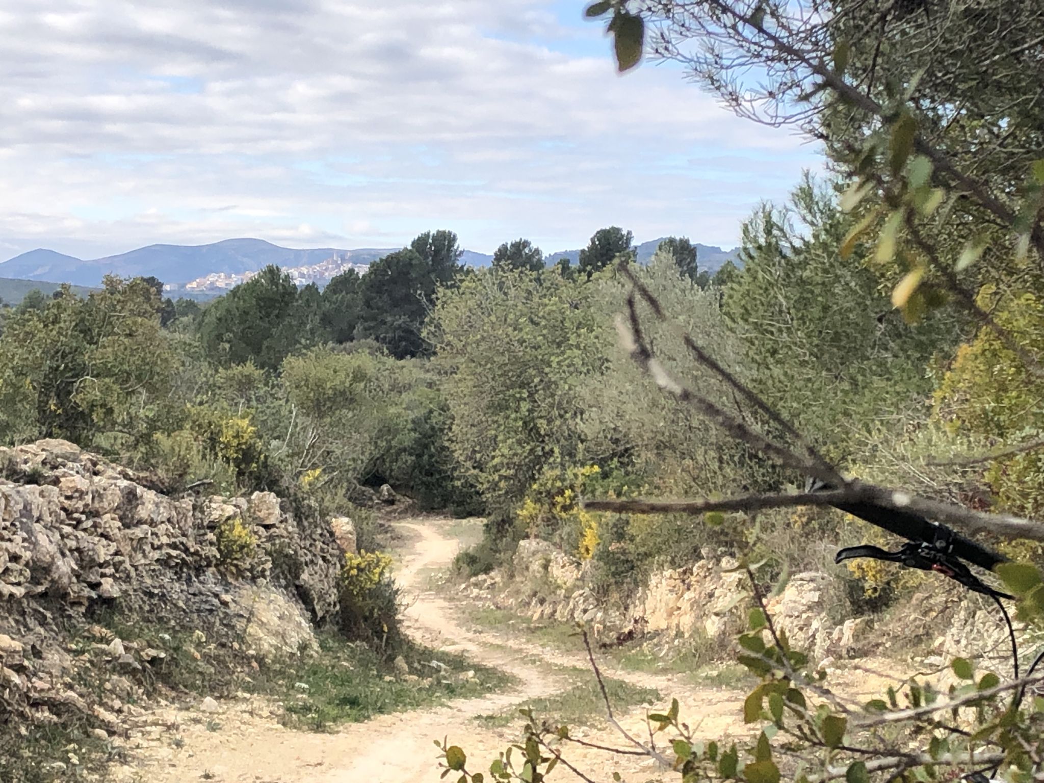 Camí Vell de Cervera a Sant Jordi